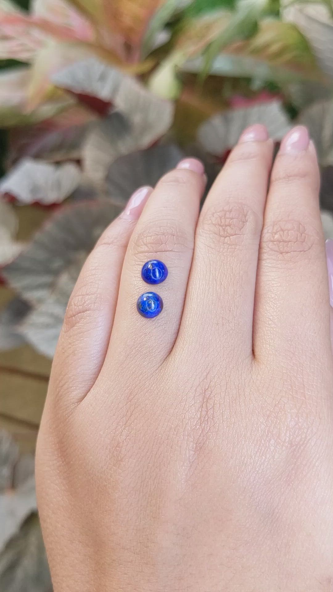 1.92 Ct.Tw.Total Carat Weight Cabochon Lapis Pair from Afghanistan Size Video