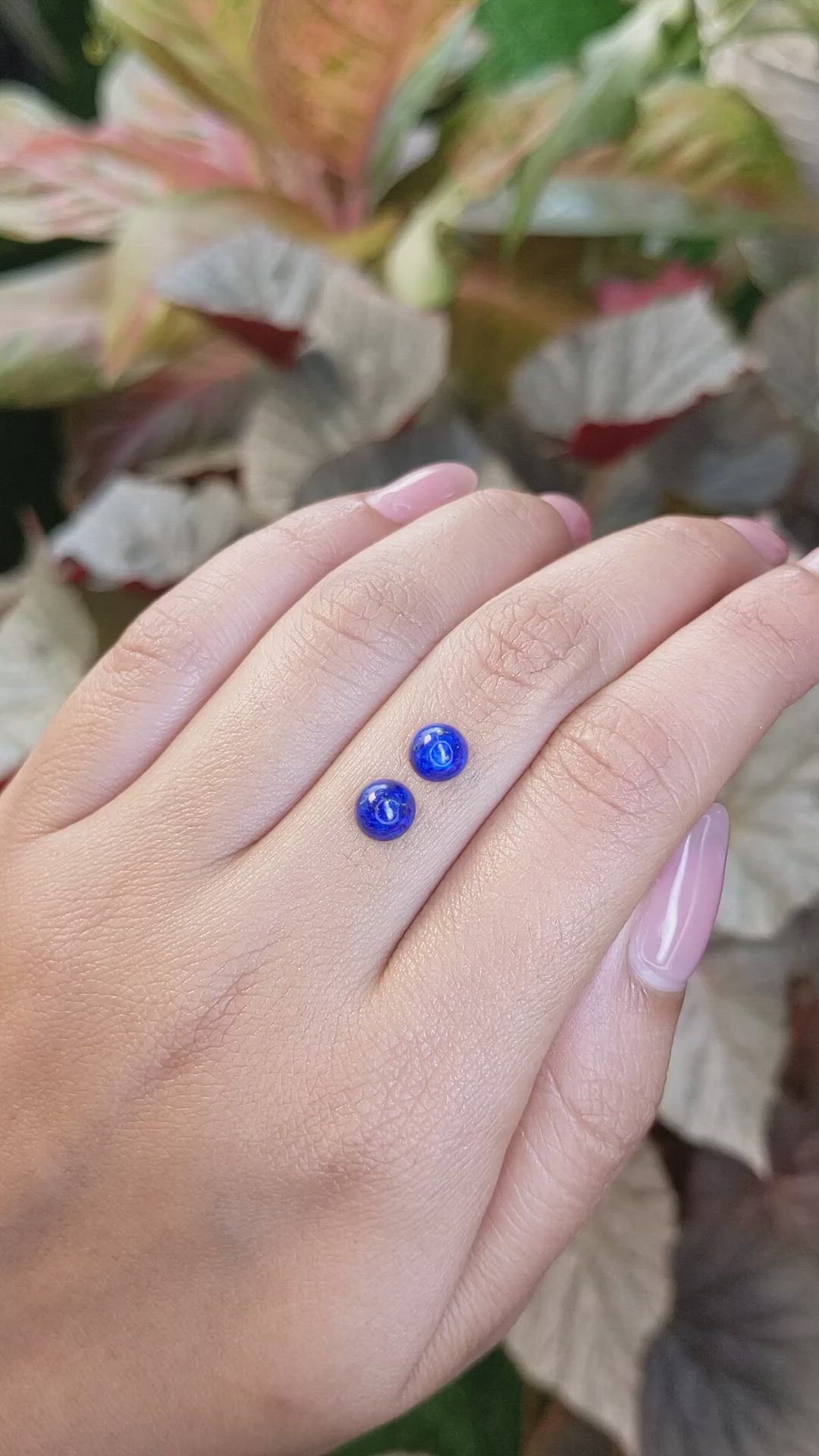 2.03 Ct.Tw.Total Carat Weight Cabochon Lapis Pair from Afghanistan Size Video