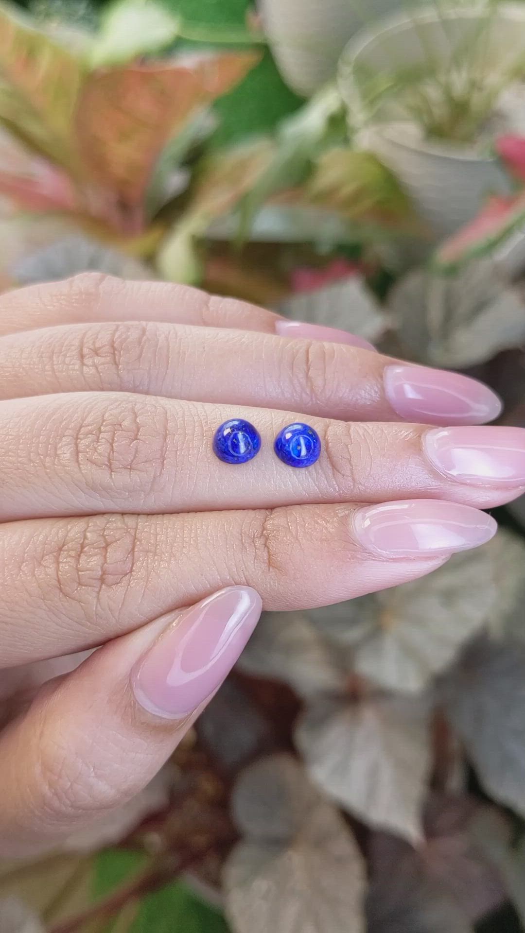 2.03 Ct.Tw.Total Carat Weight Cabochon Lapis Pair from Afghanistan Size Video