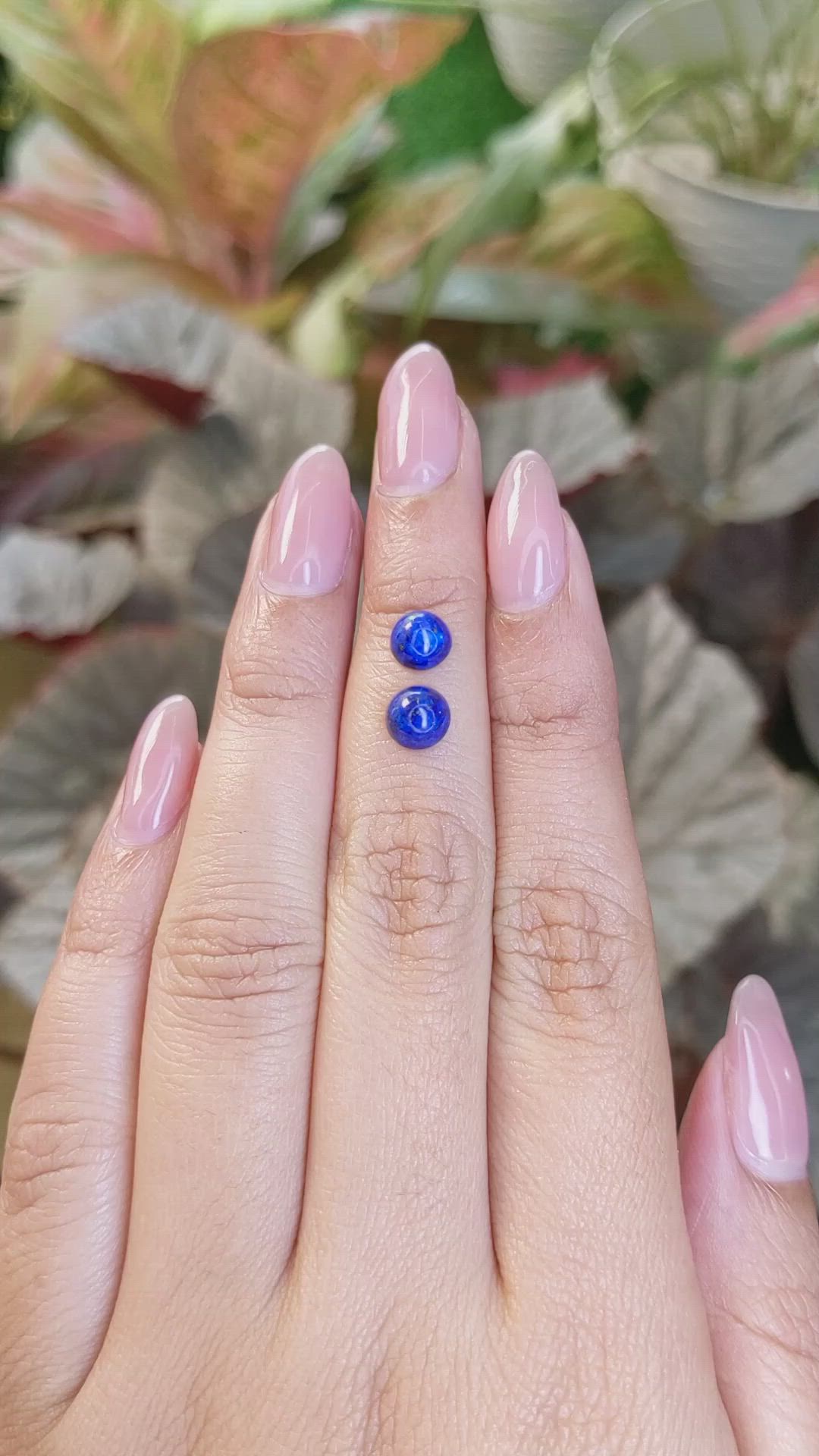 2.03 Ct.Tw.Total Carat Weight Cabochon Lapis Pair from Afghanistan Size Video