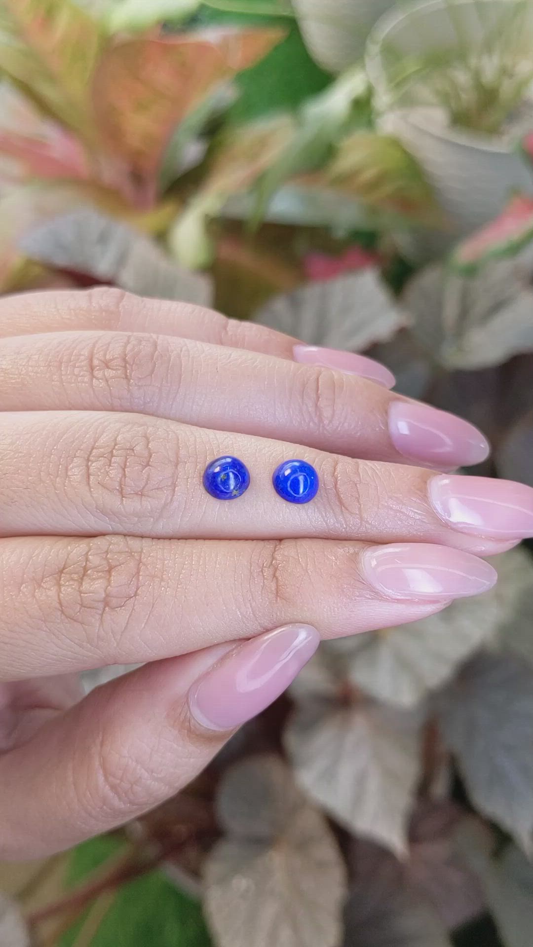 1.80&nbsp;Ct.Tw.Total Carat Weight Cabochon Lapis Pair from Afghanistan Size Video