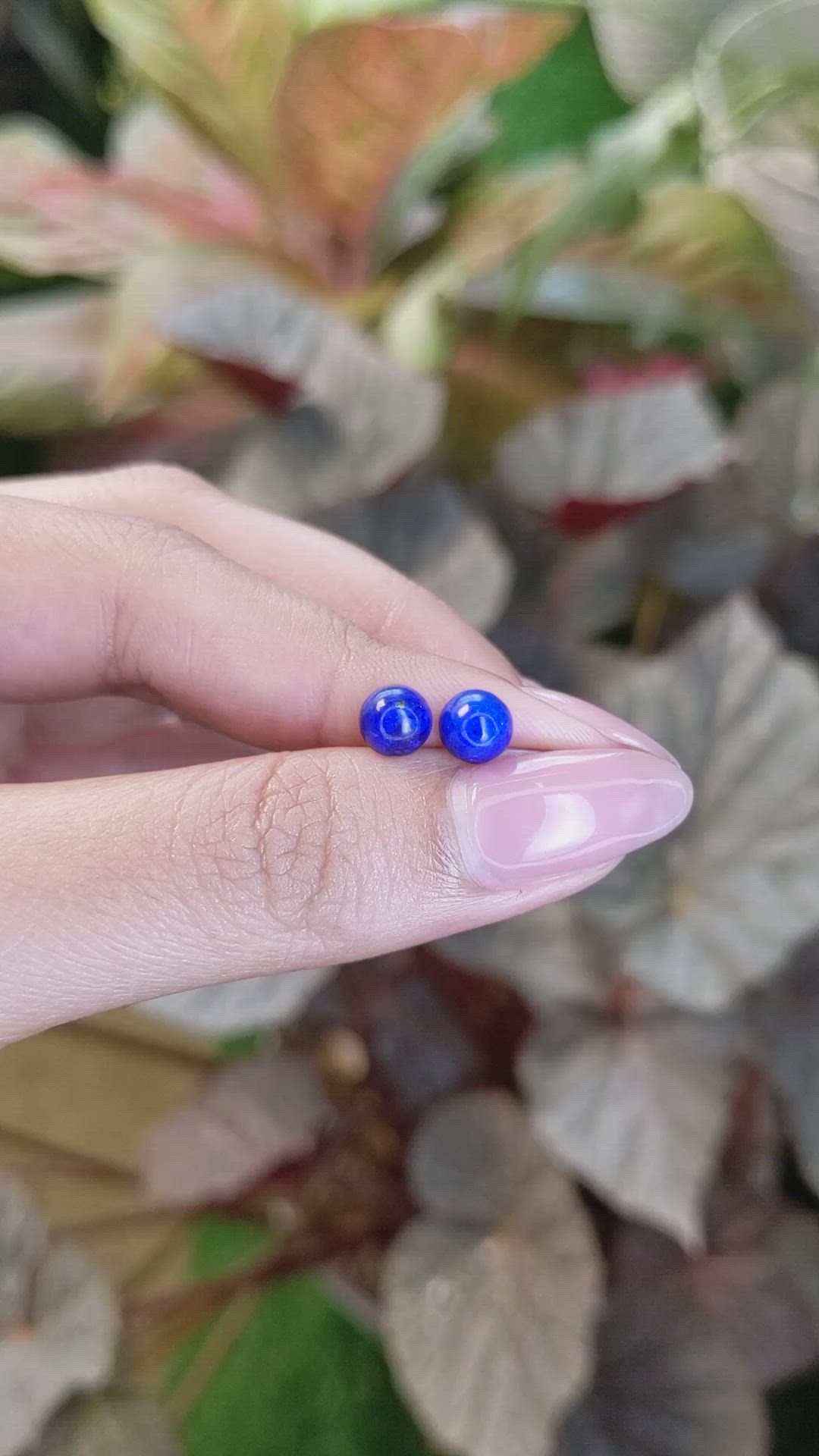 1.80&nbsp;Ct.Tw.Total Carat Weight Cabochon Lapis Pair from Afghanistan Size Video