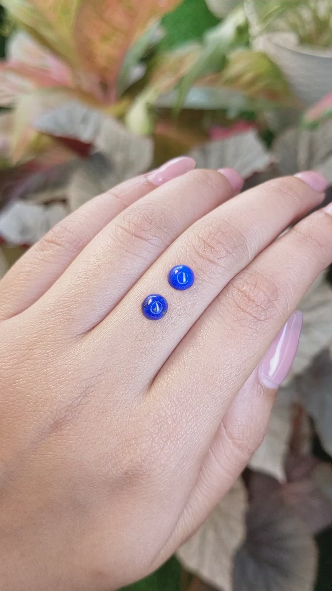1.80&nbsp;Ct.Tw.Total Carat Weight Cabochon Lapis Pair from Afghanistan Size Video