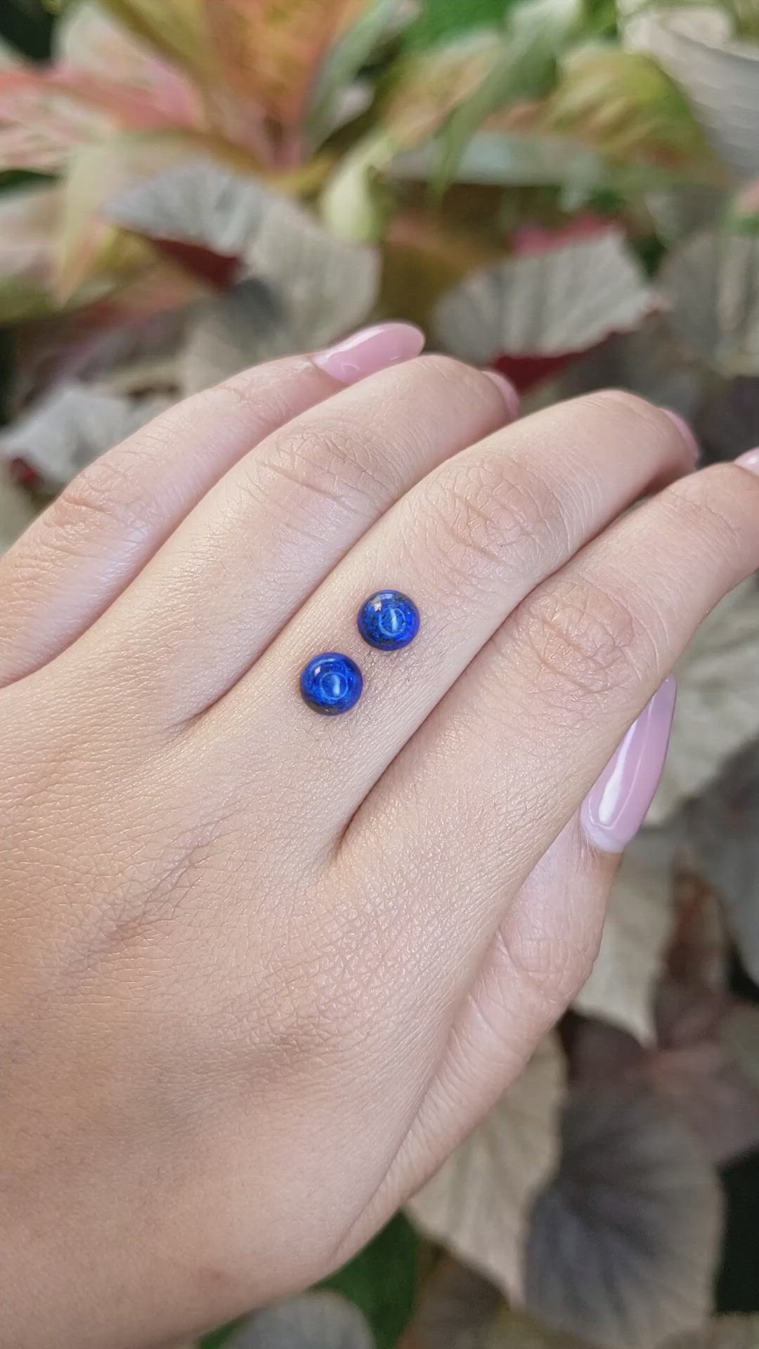 1.96&nbsp;Ct.Tw.Total Carat Weight Cabochon Lapis Pair from Afghanistan Size Video