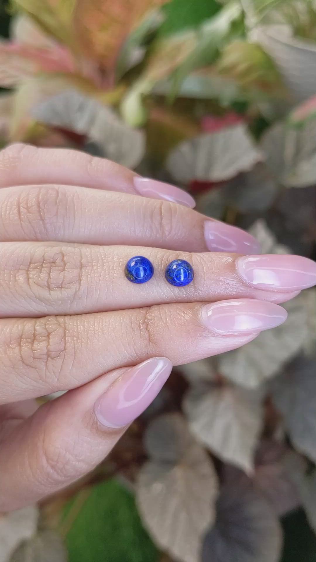 1.96&nbsp;Ct.Tw.Total Carat Weight Cabochon Lapis Pair from Afghanistan Size Video