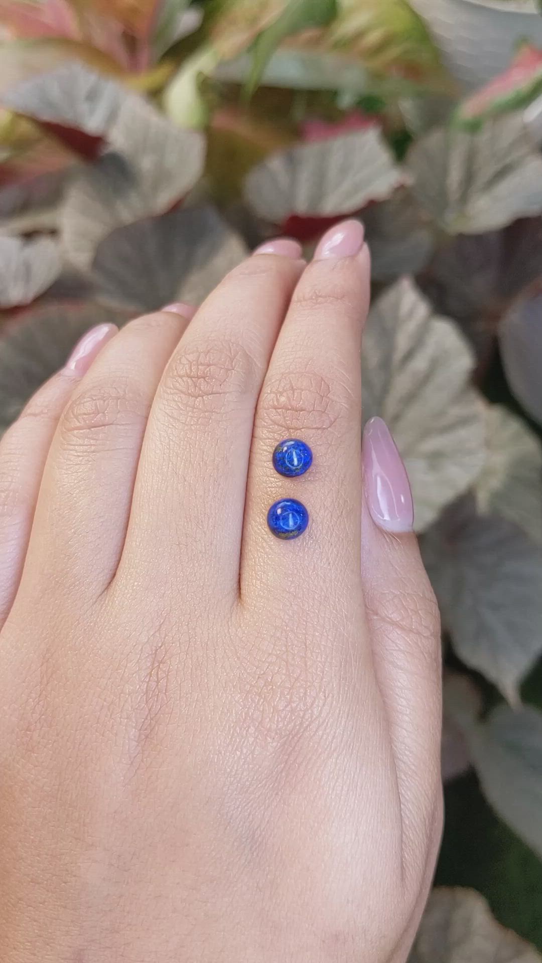1.96&nbsp;Ct.Tw.Total Carat Weight Cabochon Lapis Pair from Afghanistan Size Video