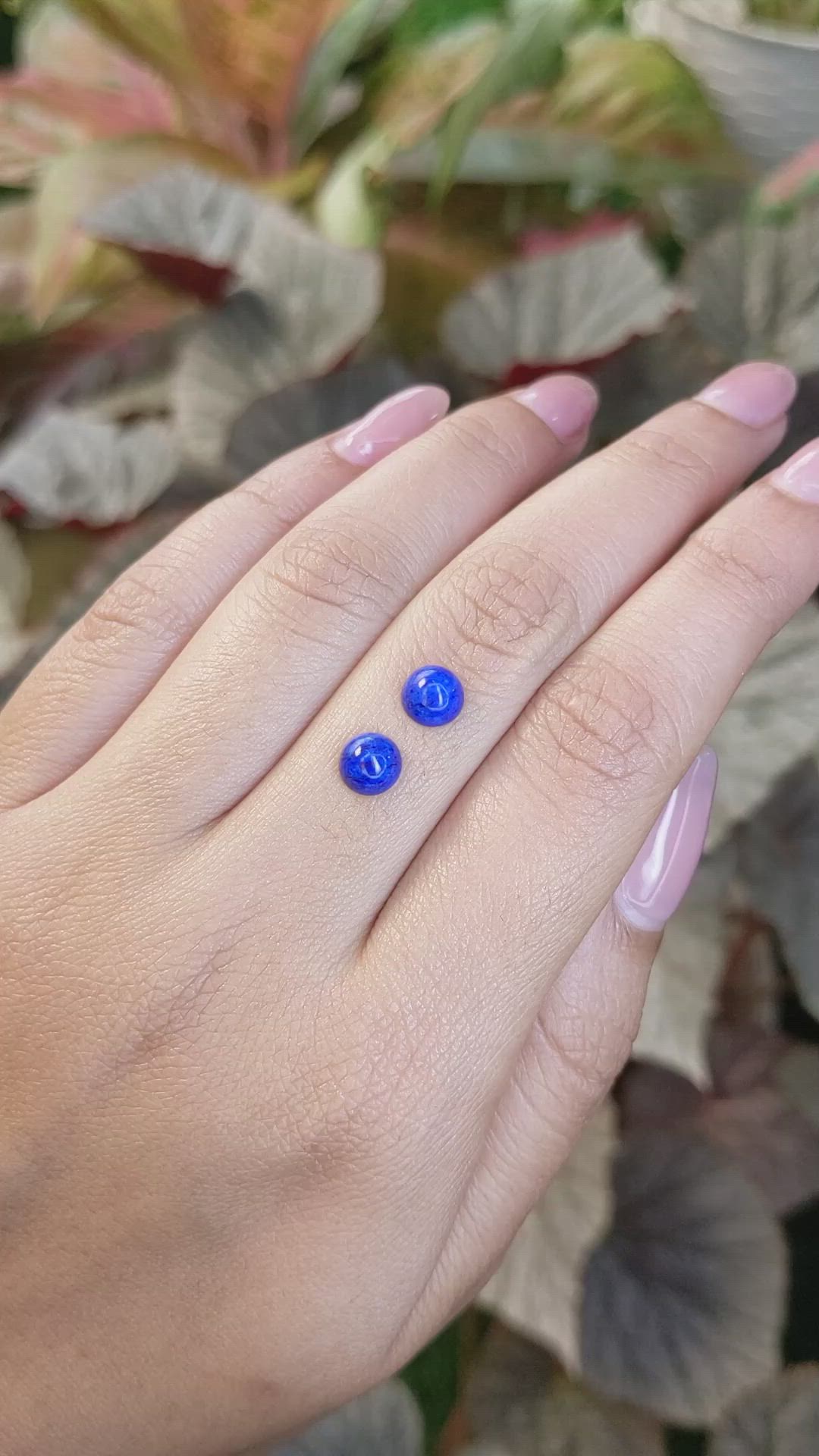 1.88&nbsp;Ct.Tw.Total Carat Weight Cabochon Lapis Pair from Afghanistan Size Video