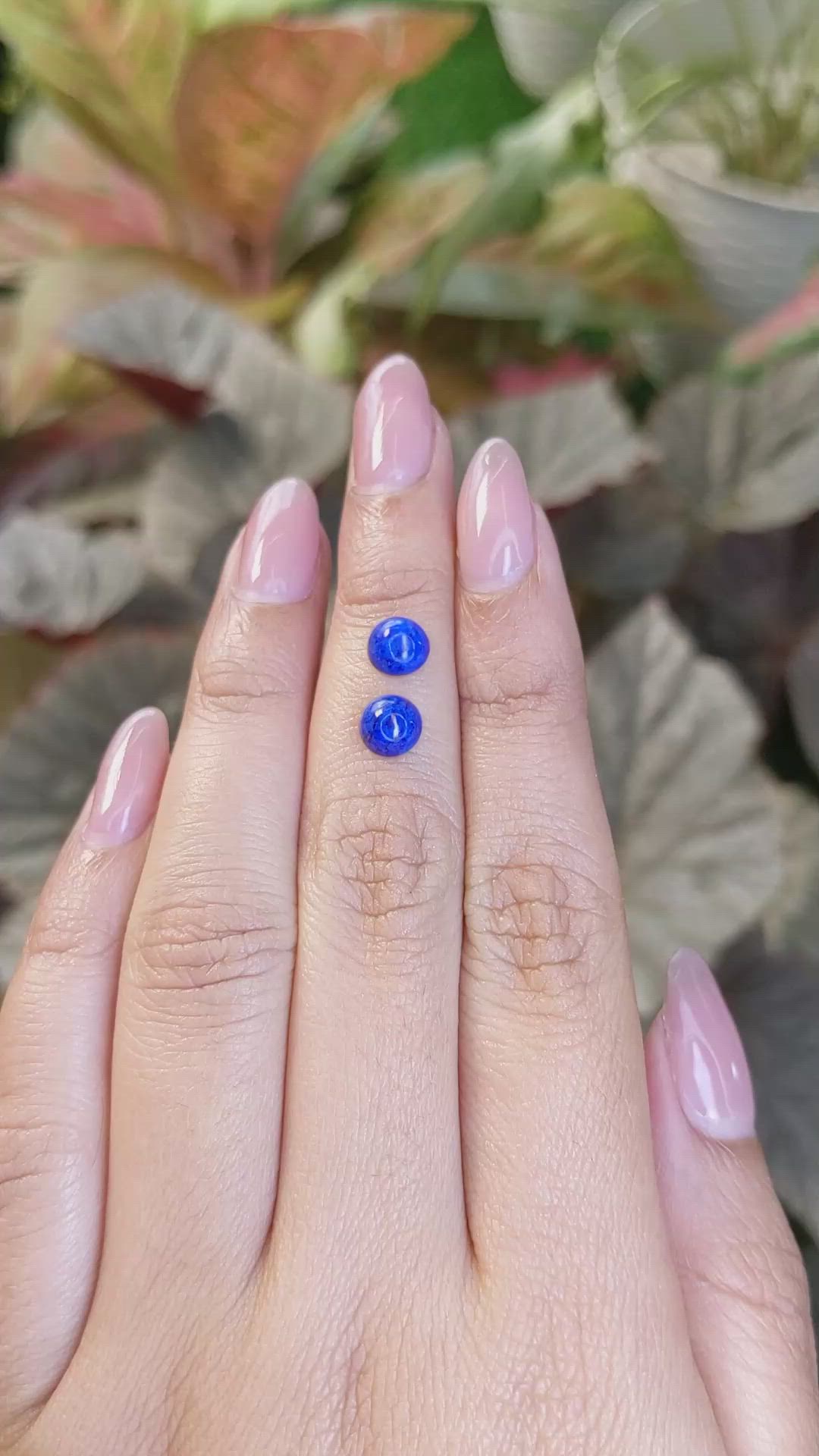 1.88&nbsp;Ct.Tw.Total Carat Weight Cabochon Lapis Pair from Afghanistan Size Video