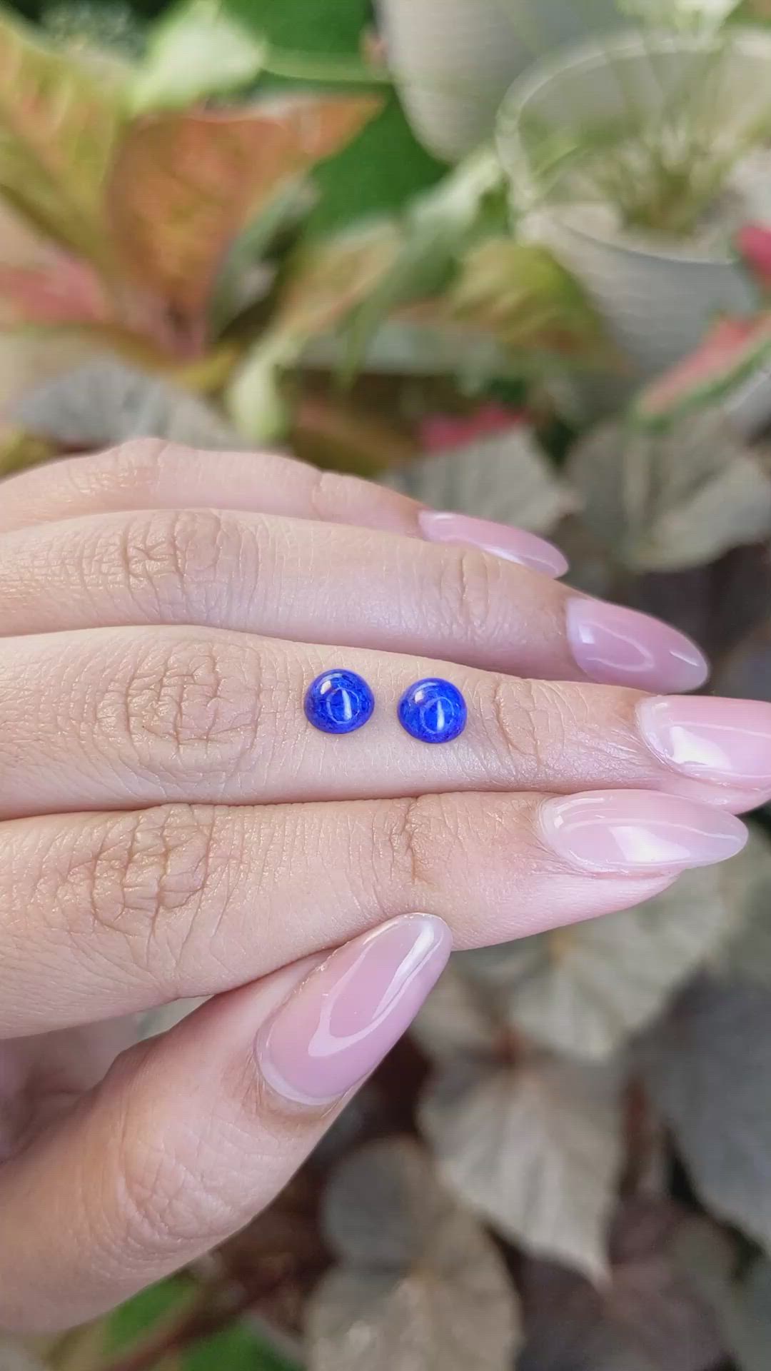 1.88&nbsp;Ct.Tw.Total Carat Weight Cabochon Lapis Pair from Afghanistan Size Video