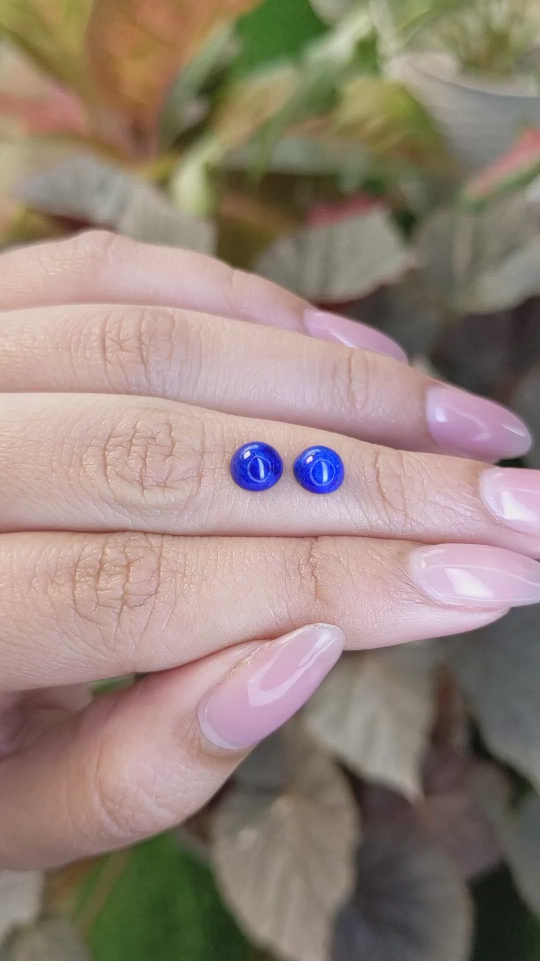 1.85&nbsp;Ct.Tw.Total Carat Weight Cabochon Lapis Pair from Afghanistan Size Video