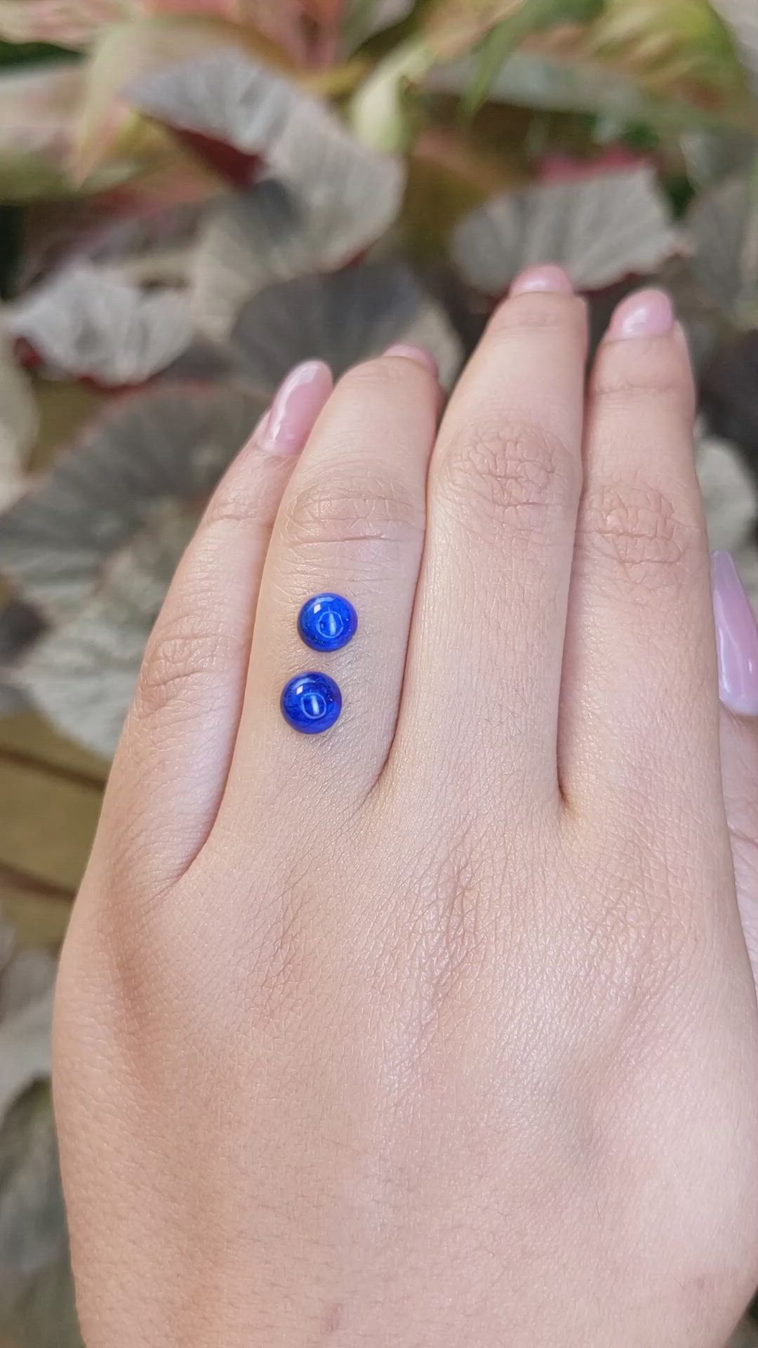 1.85&nbsp;Ct.Tw.Total Carat Weight Cabochon Lapis Pair from Afghanistan Size Video