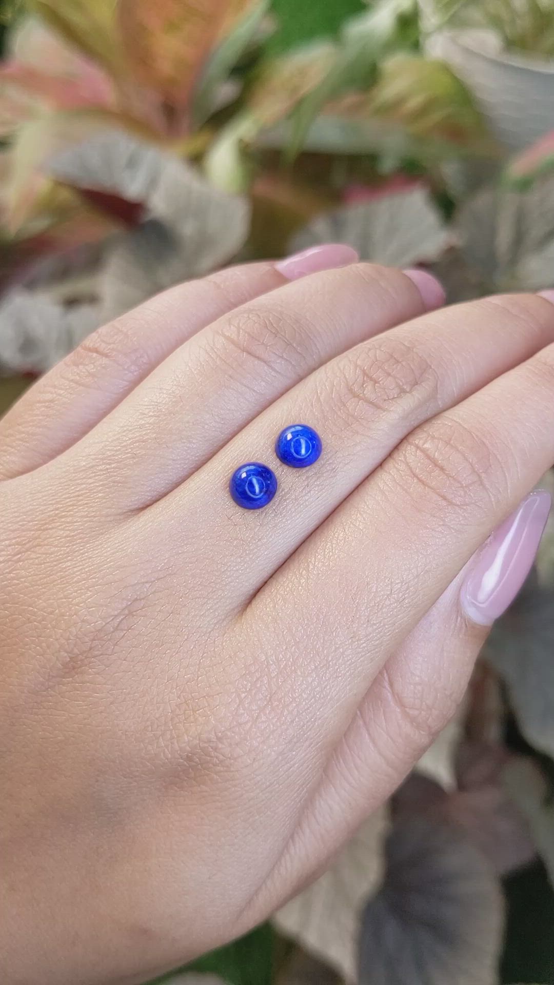 1.85&nbsp;Ct.Tw.Total Carat Weight Cabochon Lapis Pair from Afghanistan Size Video