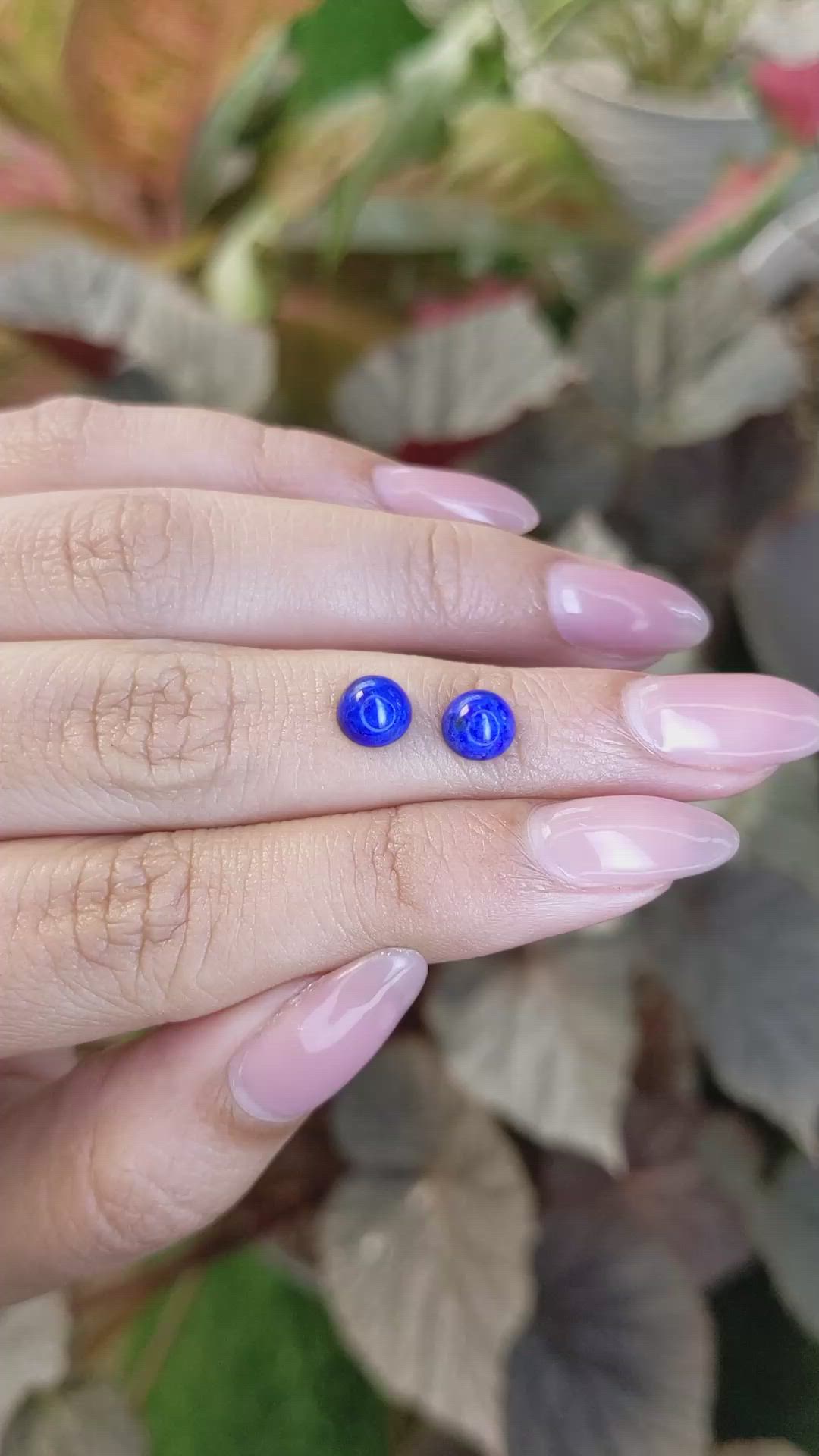 1.95&nbsp;Ct.Tw.Total Carat Weight Cabochon Lapis Pair from Afghanistan Size Video