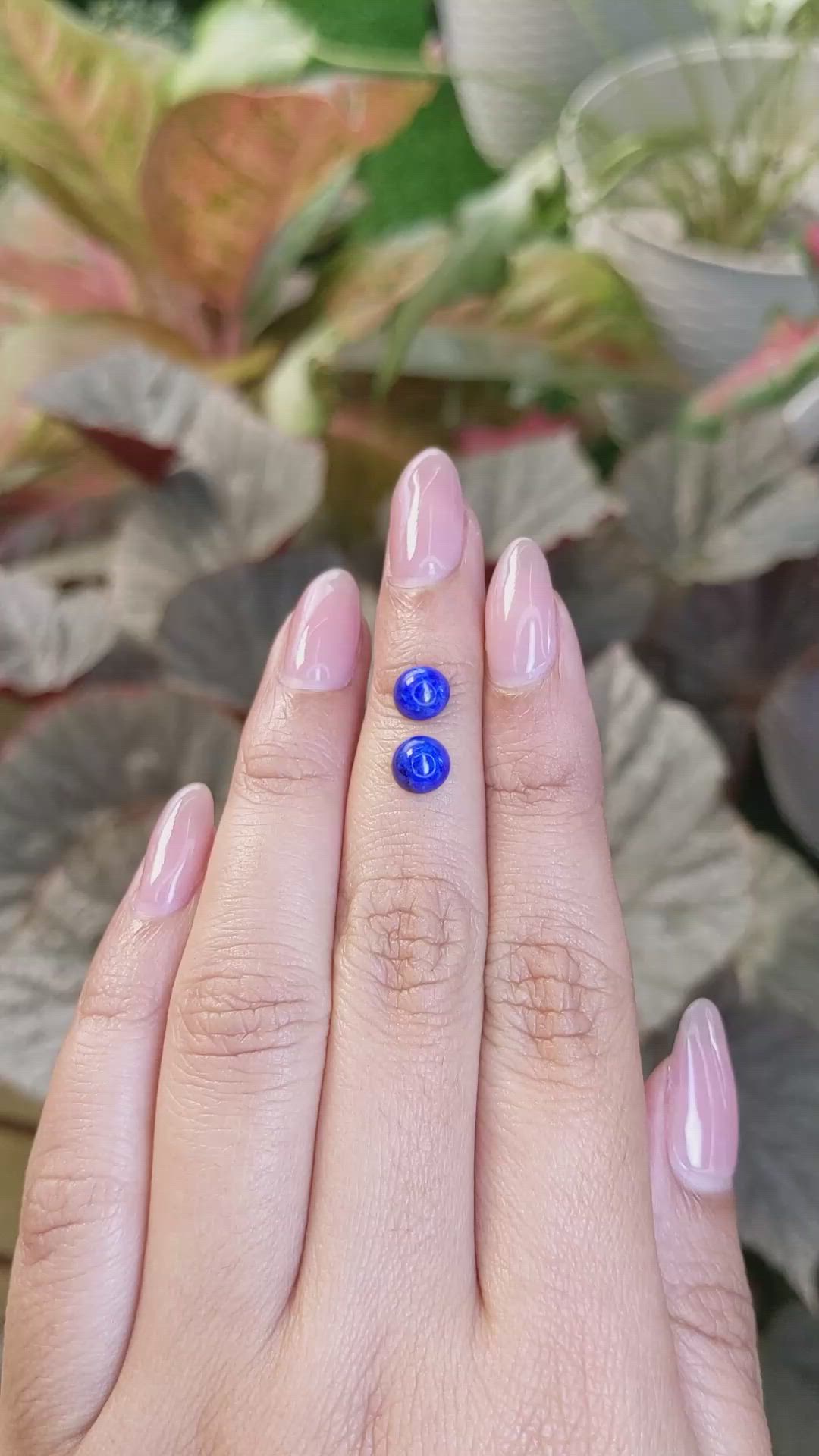 1.95&nbsp;Ct.Tw.Total Carat Weight Cabochon Lapis Pair from Afghanistan Size Video
