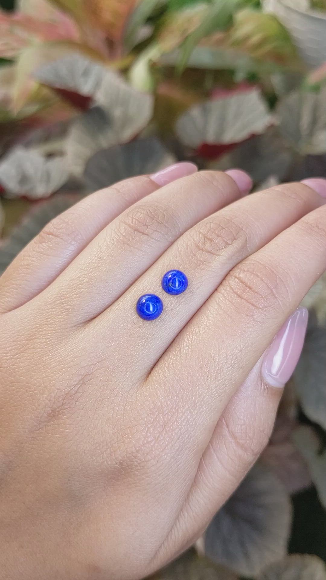 1.95&nbsp;Ct.Tw.Total Carat Weight Cabochon Lapis Pair from Afghanistan Size Video