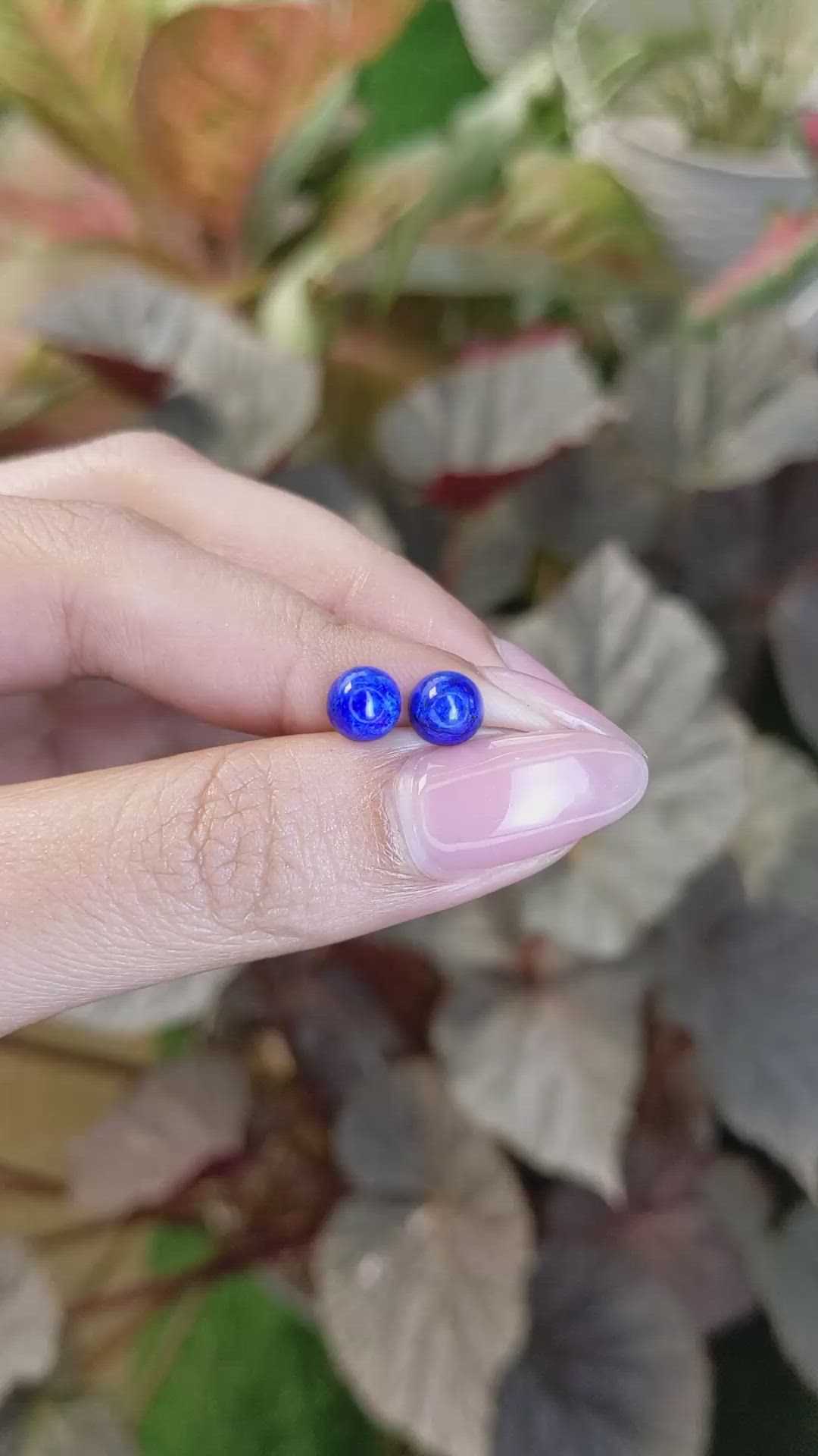 1.87&nbsp;Ct.Tw.Total Carat Weight Cabochon Lapis Pair from Afghanistan Size Video