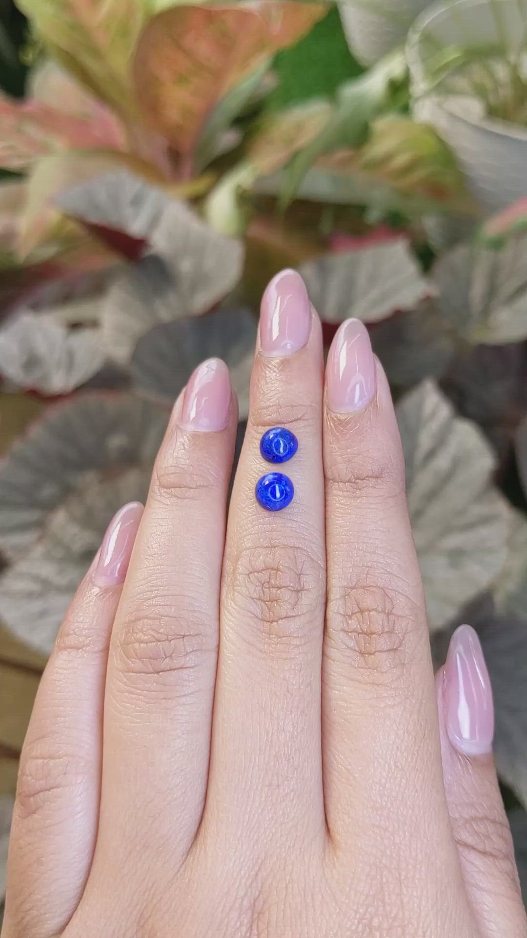 1.87&nbsp;Ct.Tw.Total Carat Weight Cabochon Lapis Pair from Afghanistan Size Video