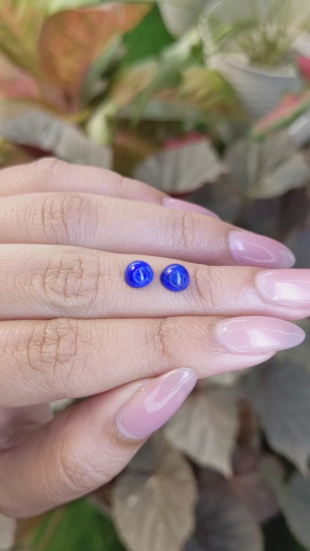 1.87&nbsp;Ct.Tw.Total Carat Weight Cabochon Lapis Pair from Afghanistan Size Video
