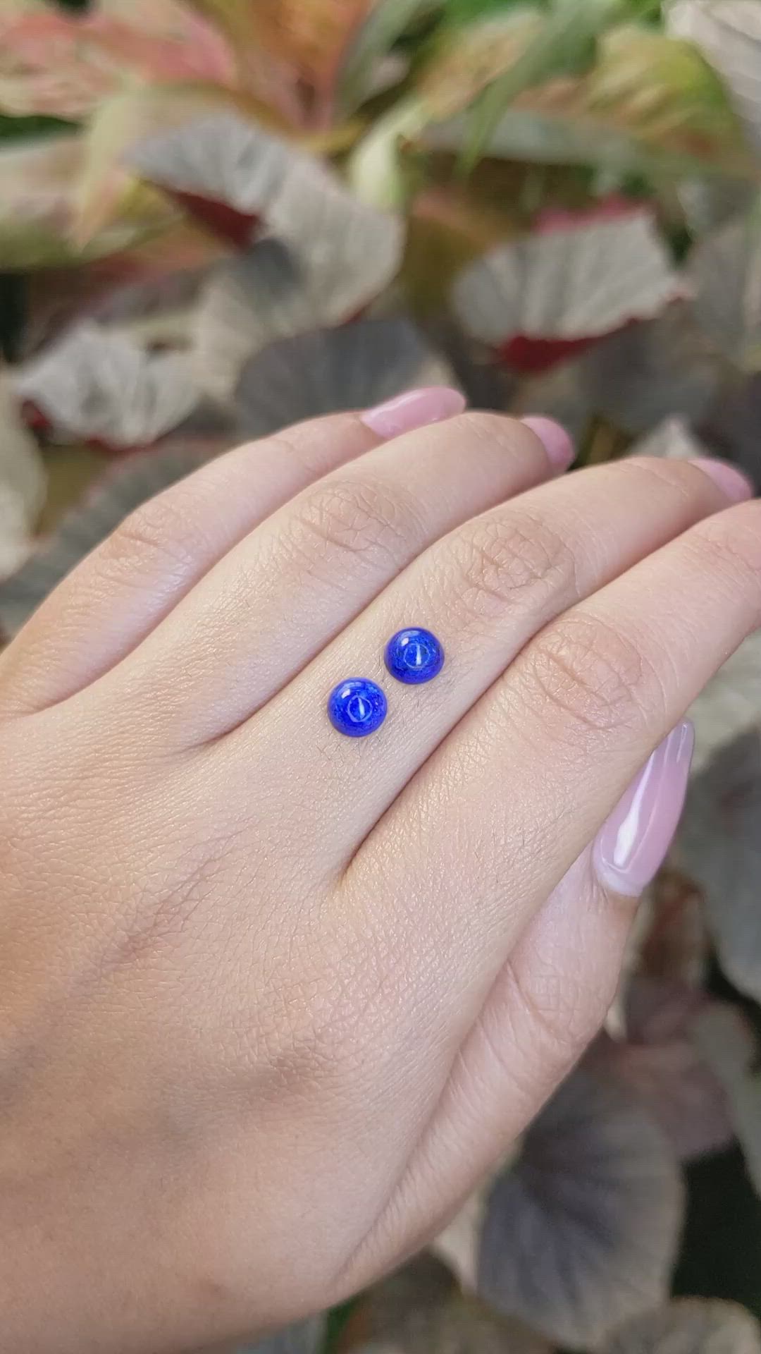 1.87&nbsp;Ct.Tw.Total Carat Weight Cabochon Lapis Pair from Afghanistan Size Video