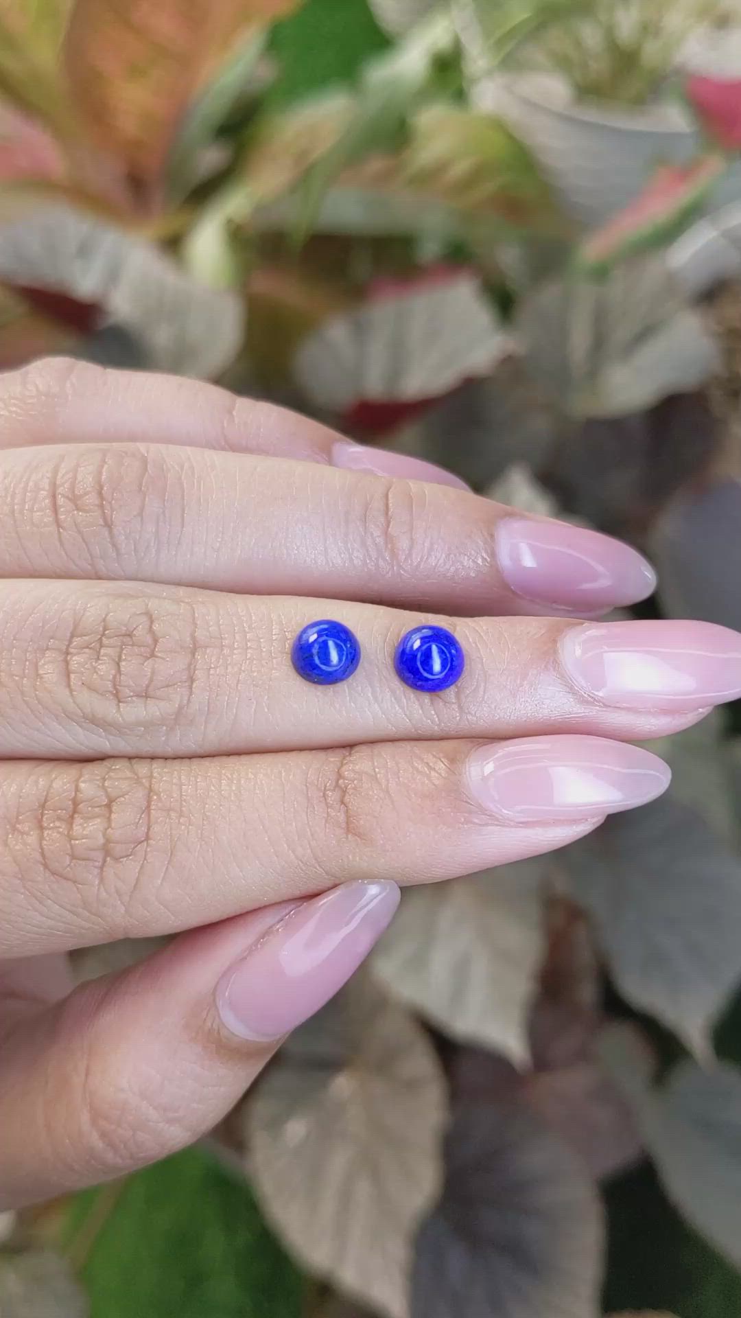 1.98&nbsp;Ct.Tw.Total Carat Weight Cabochon Lapis Pair from Afghanistan Size Video