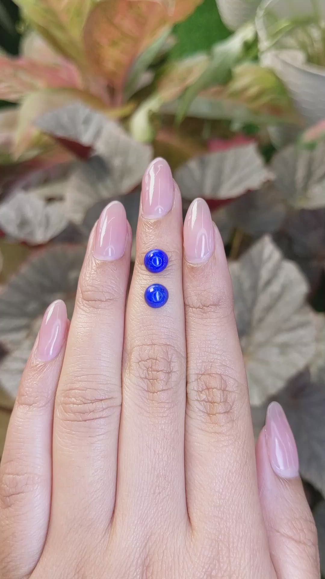 1.98&nbsp;Ct.Tw.Total Carat Weight Cabochon Lapis Pair from Afghanistan Size Video
