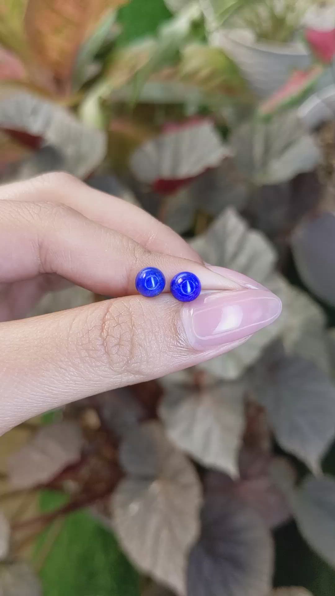 1.98&nbsp;Ct.Tw.Total Carat Weight Cabochon Lapis Pair from Afghanistan Size Video