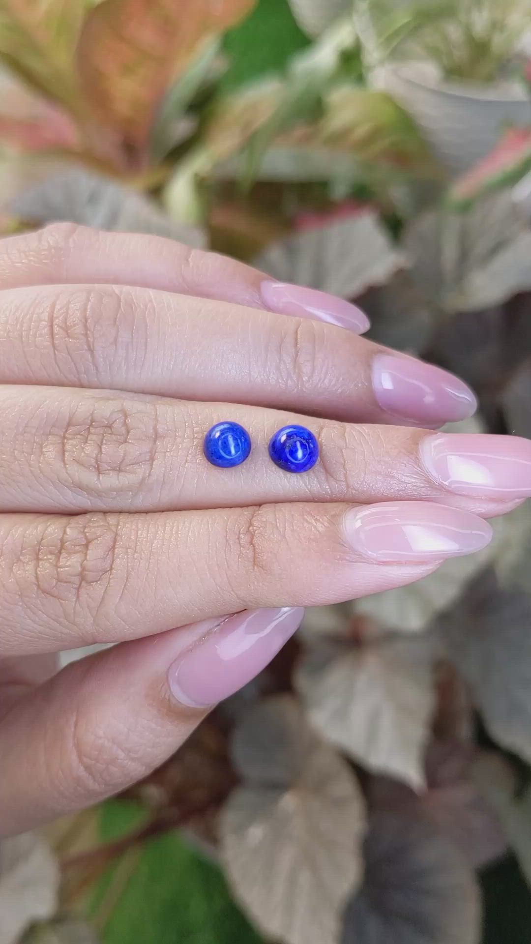 1.90&nbsp;Ct.Tw.Total Carat Weight Cabochon Lapis Pair from Afghanistan Size Video