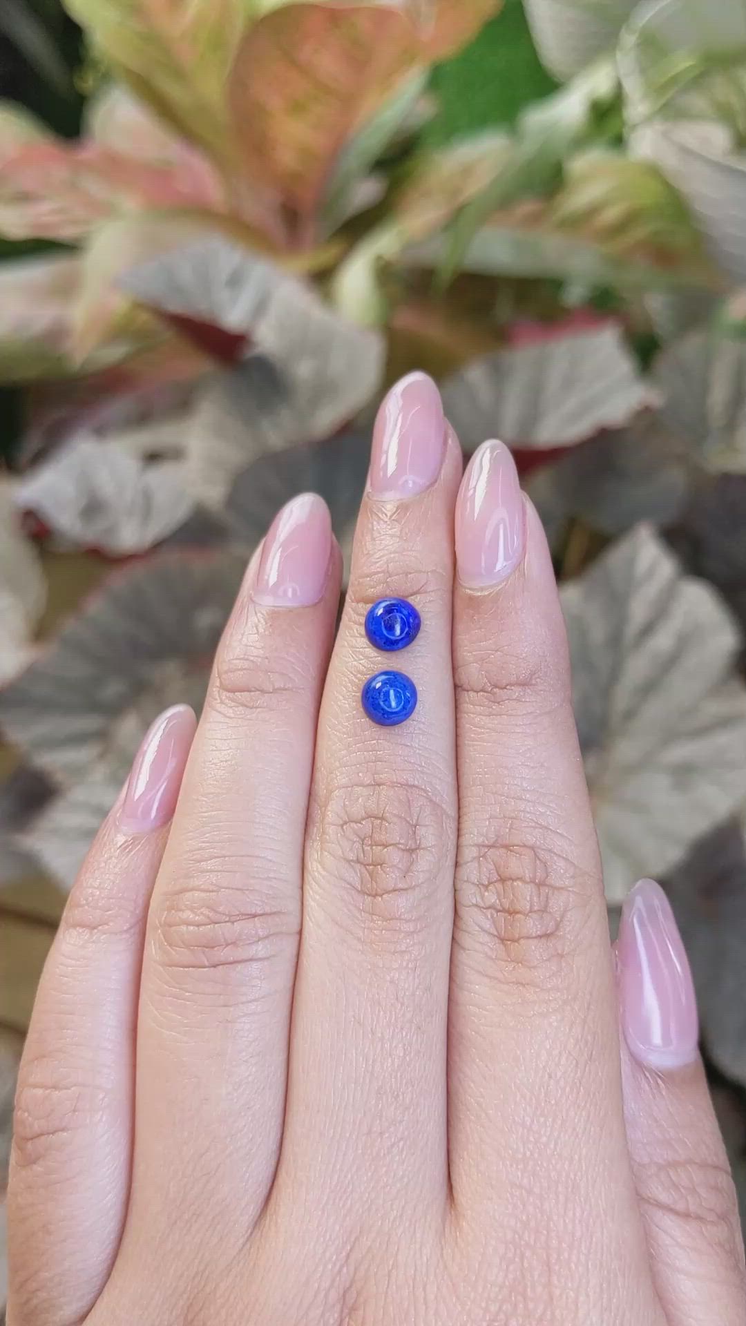 1.90&nbsp;Ct.Tw.Total Carat Weight Cabochon Lapis Pair from Afghanistan Size Video