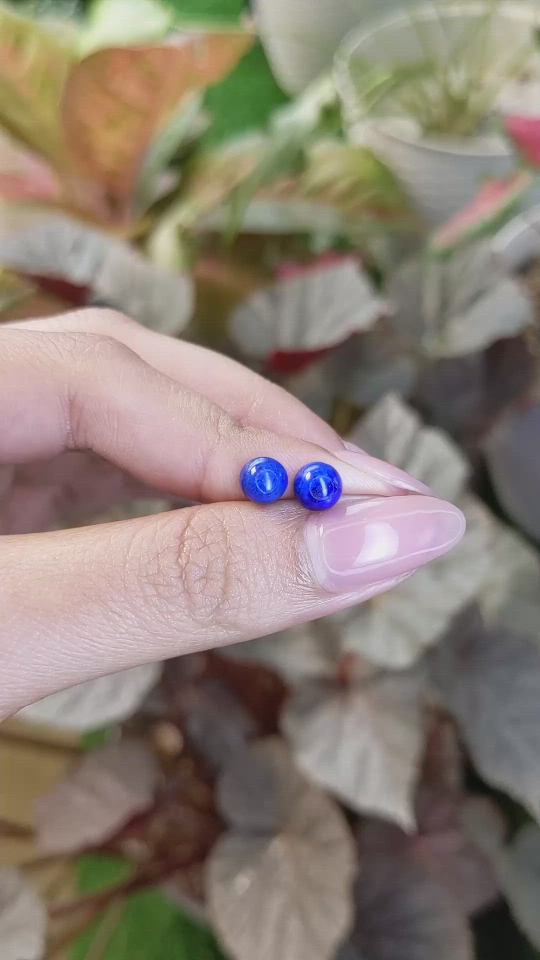 1.90&nbsp;Ct.Tw.Total Carat Weight Cabochon Lapis Pair from Afghanistan Size Video