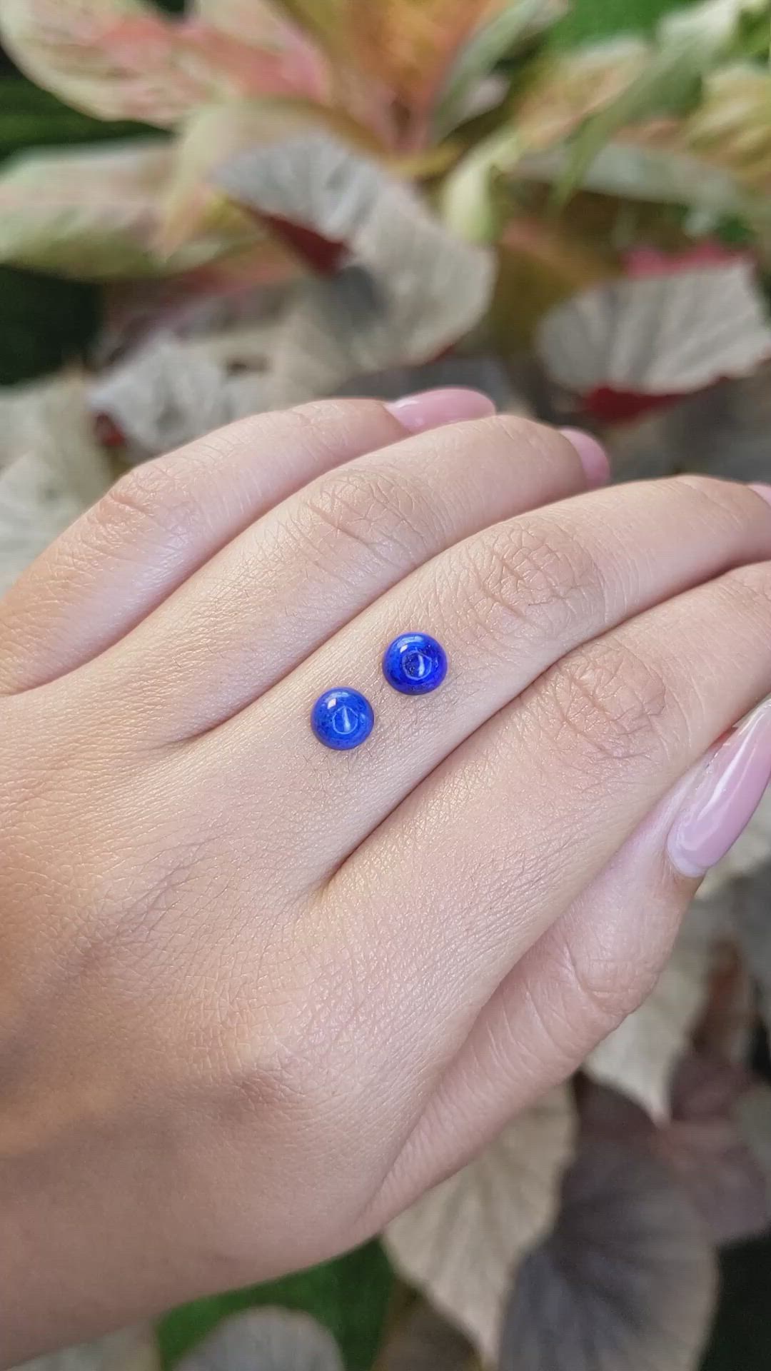 1.90&nbsp;Ct.Tw.Total Carat Weight Cabochon Lapis Pair from Afghanistan Size Video