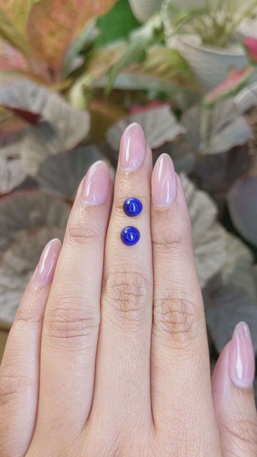 1.79 Ct.Tw.Total Carat Weight Cabochon Lapis Pair from Afghanistan Size Video