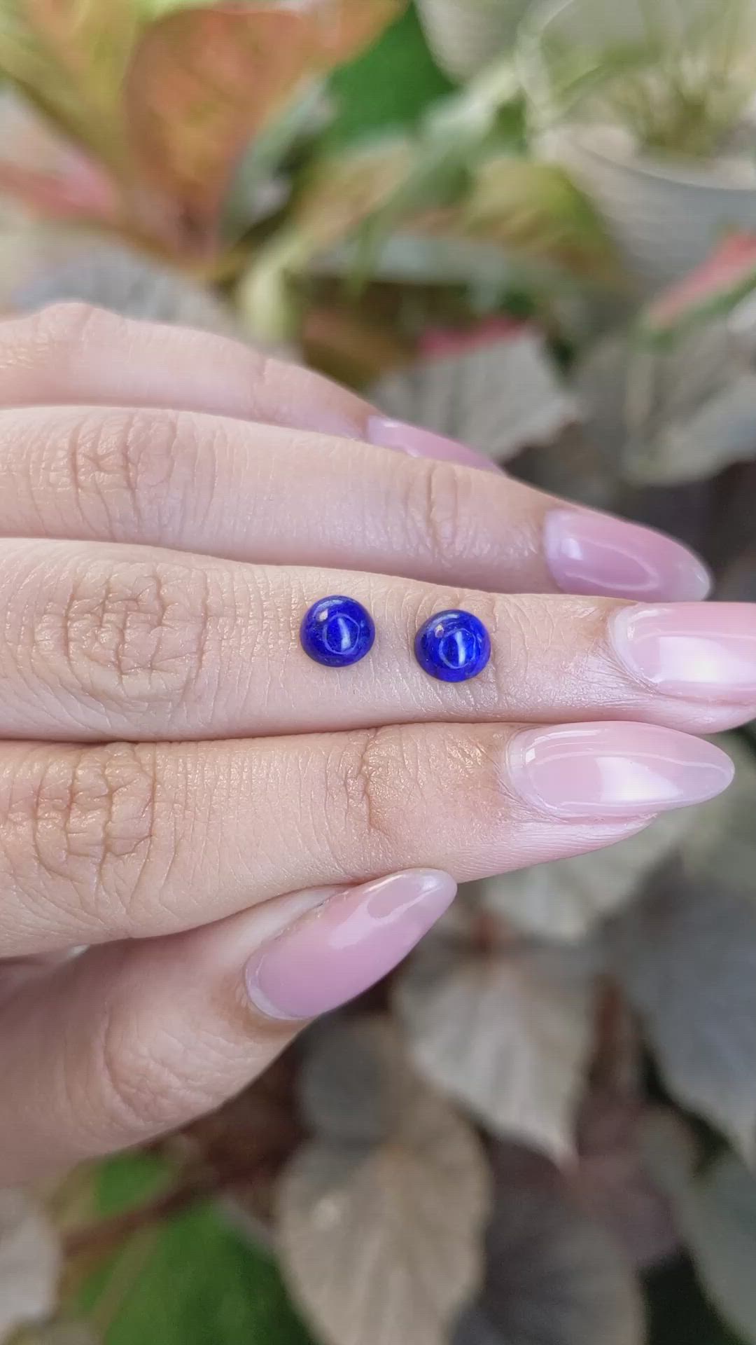 1.79 Ct.Tw.Total Carat Weight Cabochon Lapis Pair from Afghanistan Size Video