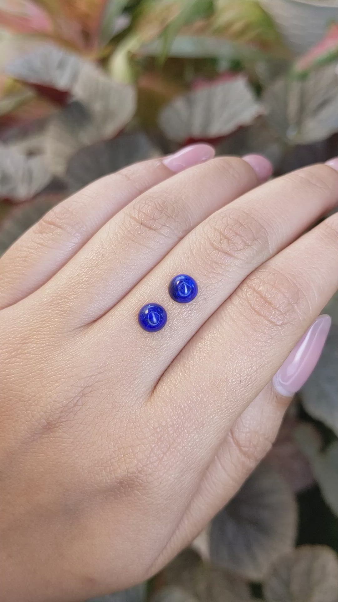 1.79 Ct.Tw.Total Carat Weight Cabochon Lapis Pair from Afghanistan Size Video