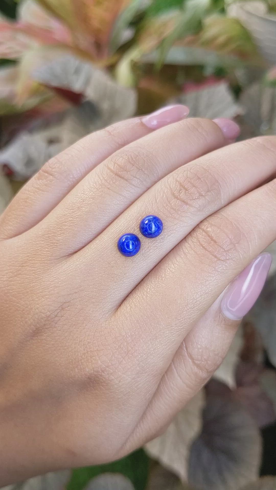 1.77&nbsp;Ct.Tw.Total Carat Weight Cabochon Lapis Pair from Afghanistan Size Video
