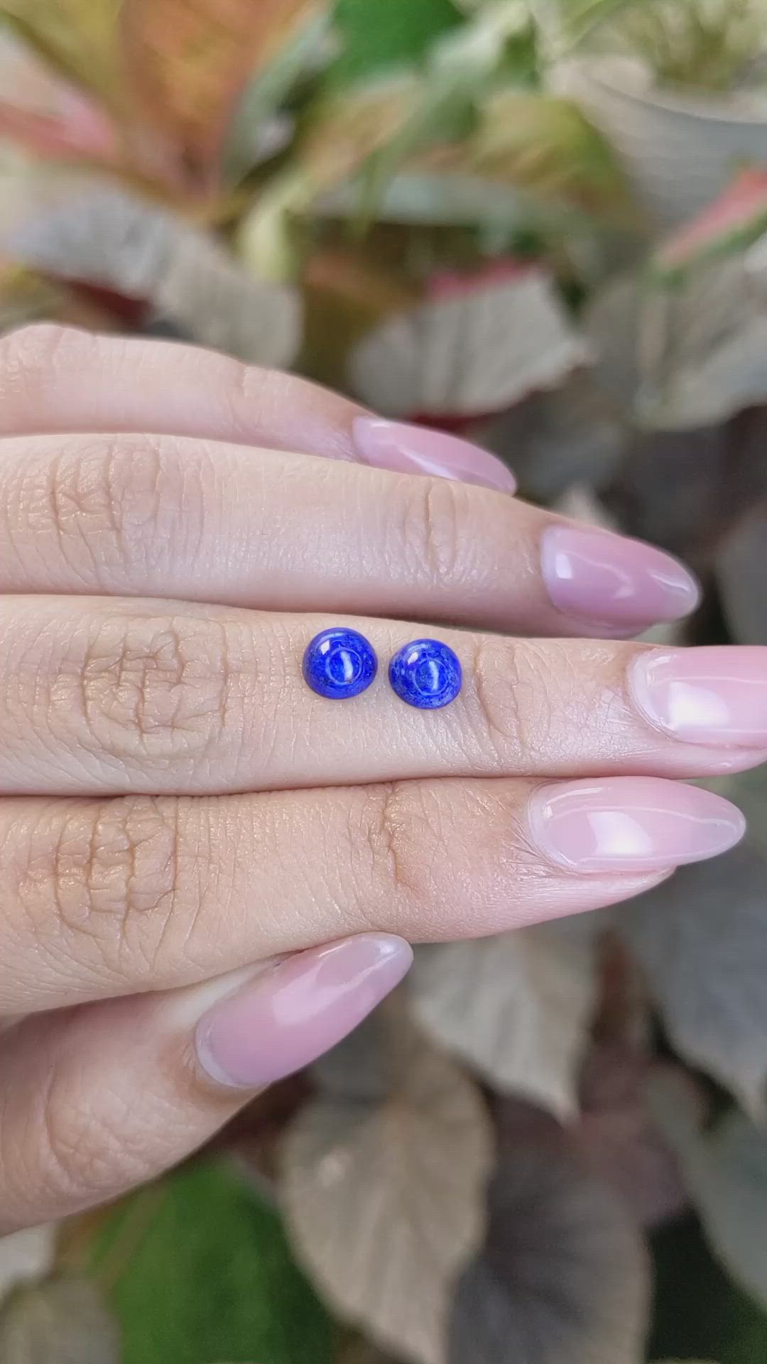 1.77&nbsp;Ct.Tw.Total Carat Weight Cabochon Lapis Pair from Afghanistan Size Video