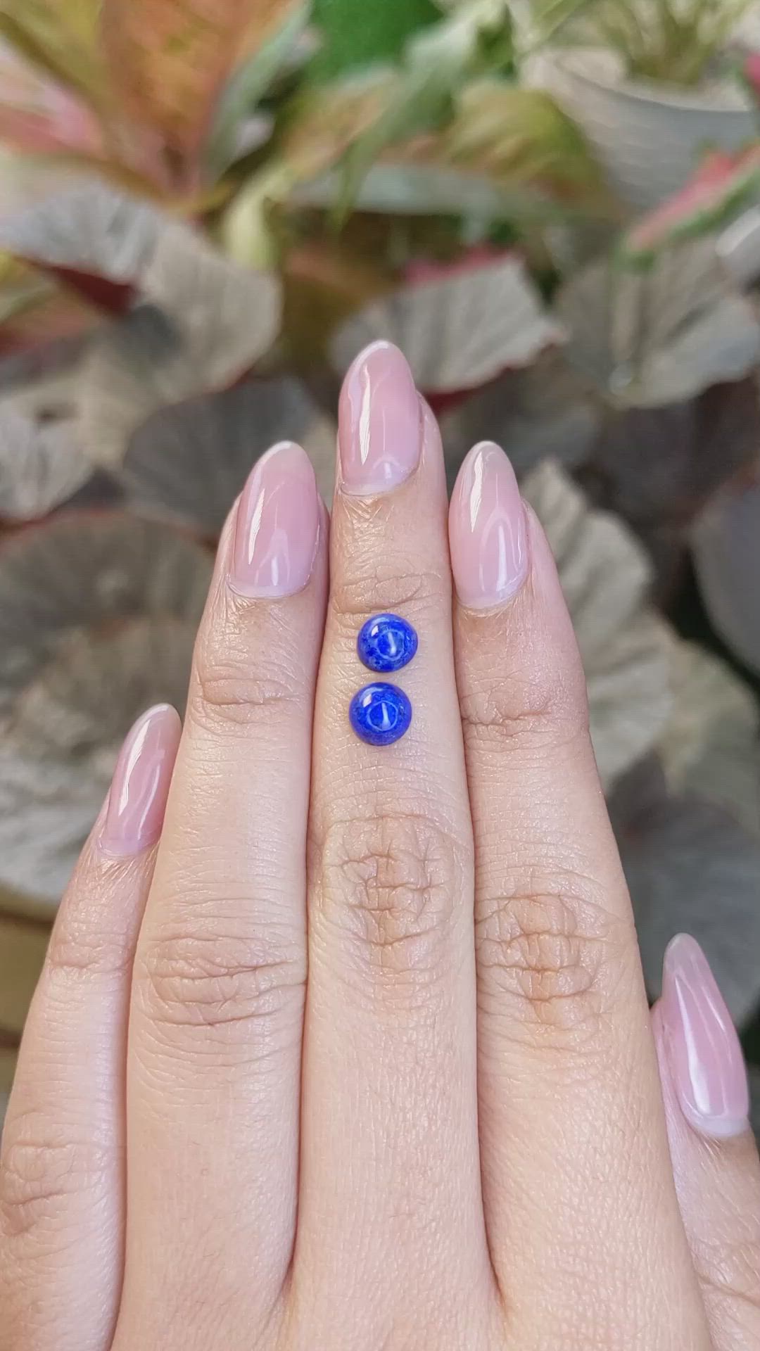 1.77&nbsp;Ct.Tw.Total Carat Weight Cabochon Lapis Pair from Afghanistan Size Video
