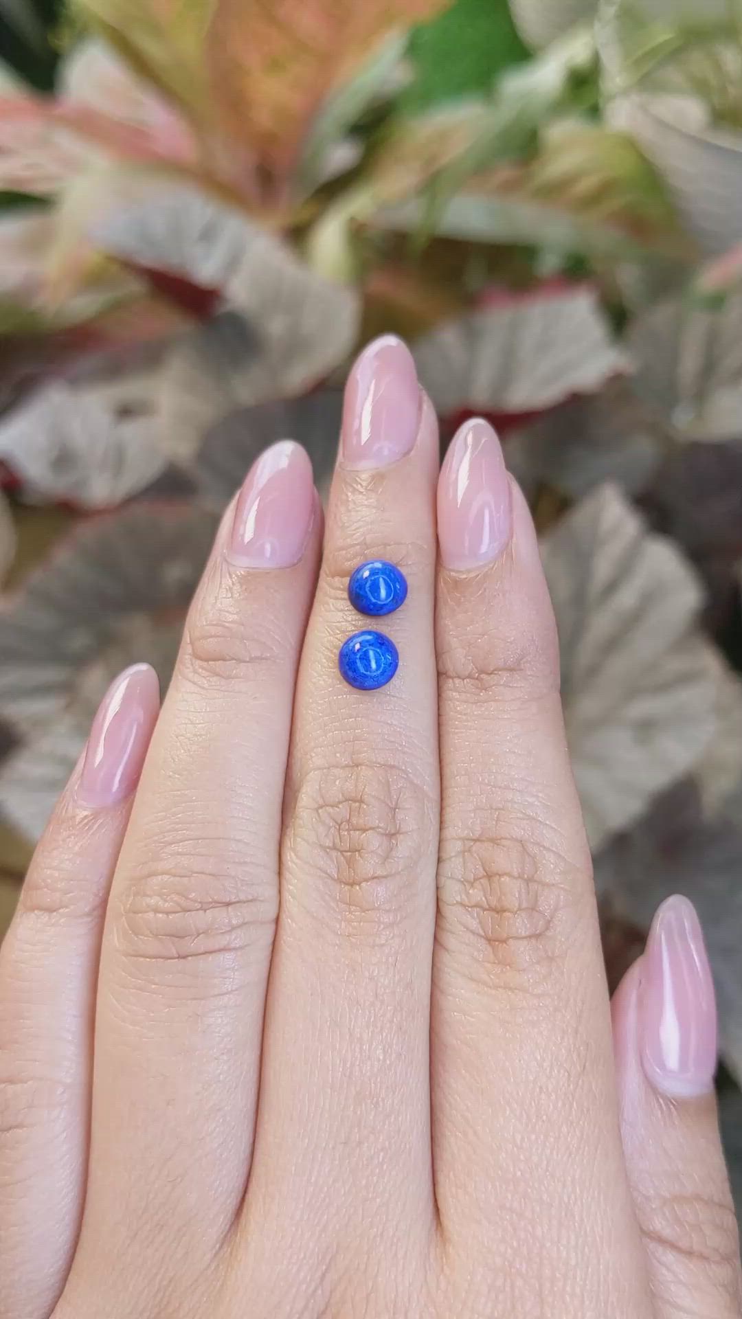 1.85&nbsp;Ct.Tw.Total Carat Weight Cabochon Lapis Pair from Afghanistan Size Video