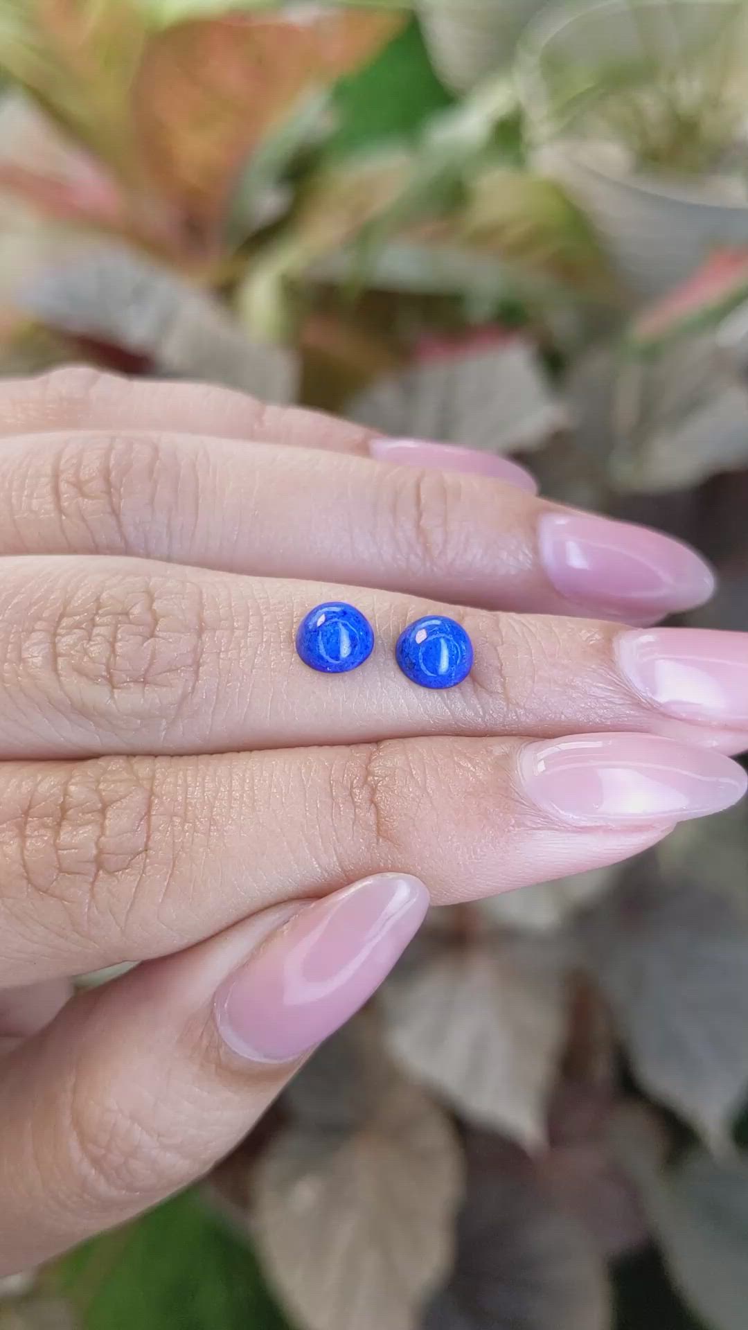 1.85&nbsp;Ct.Tw.Total Carat Weight Cabochon Lapis Pair from Afghanistan Size Video