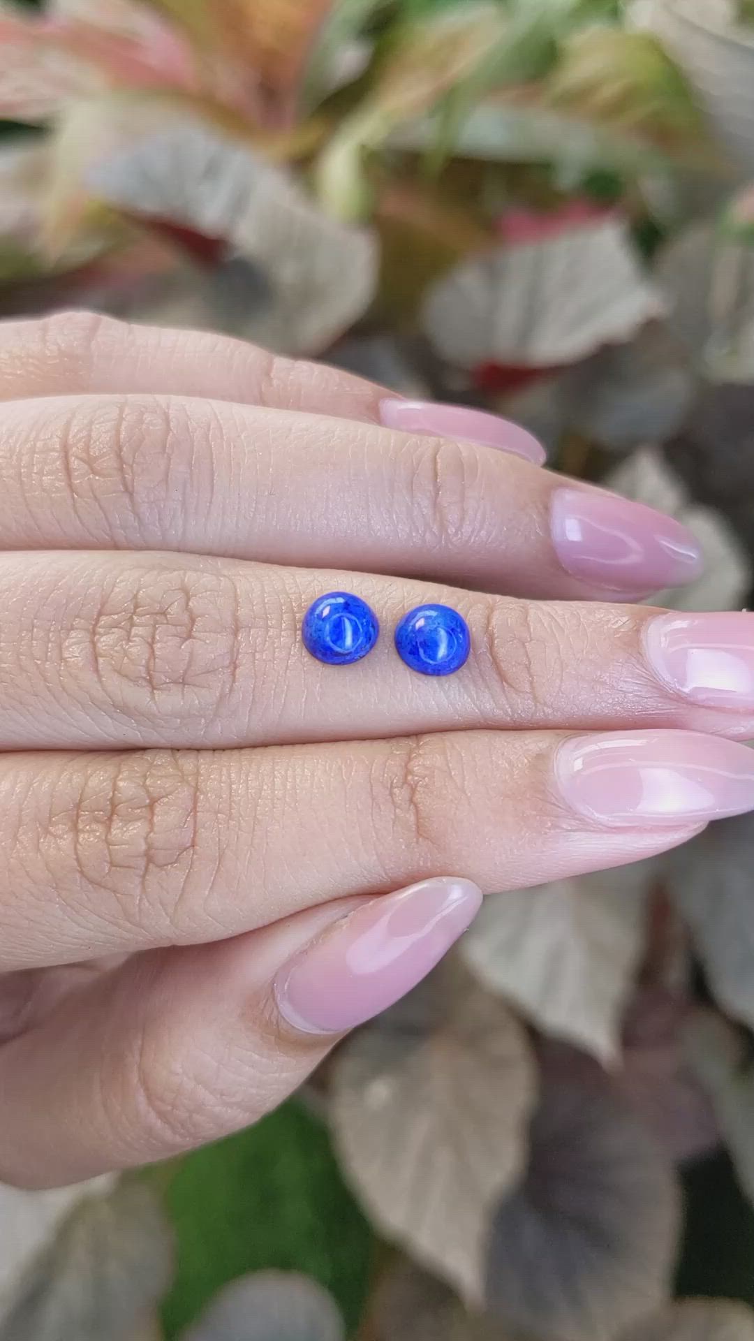 1.92&nbsp;Ct.Tw.Total Carat Weight Cabochon Lapis Pair from Afghanistan Size Video