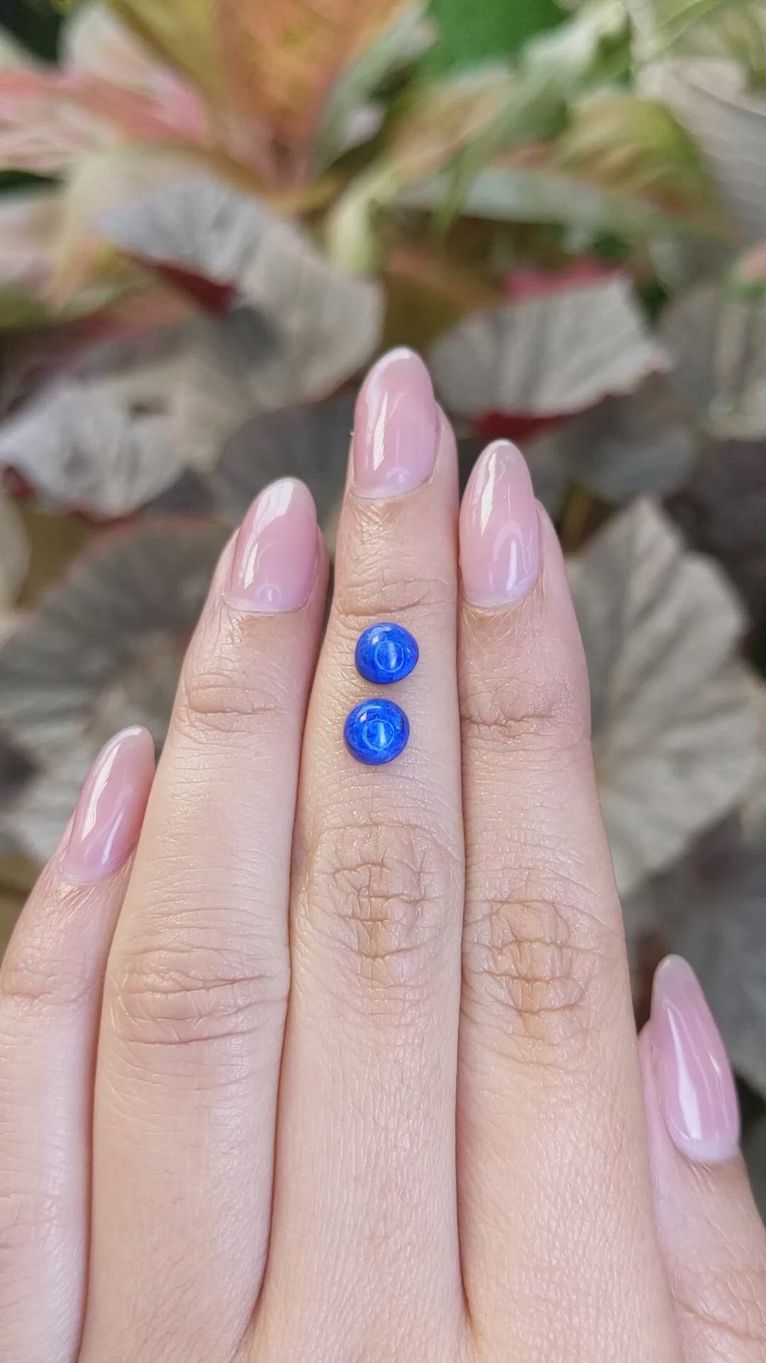 1.92&nbsp;Ct.Tw.Total Carat Weight Cabochon Lapis Pair from Afghanistan Size Video