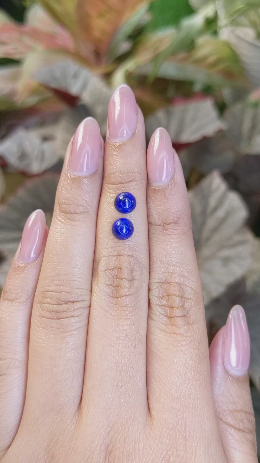 1.86&nbsp;Ct.Tw.Total Carat Weight Cabochon Lapis Pair from Afghanistan Size Video