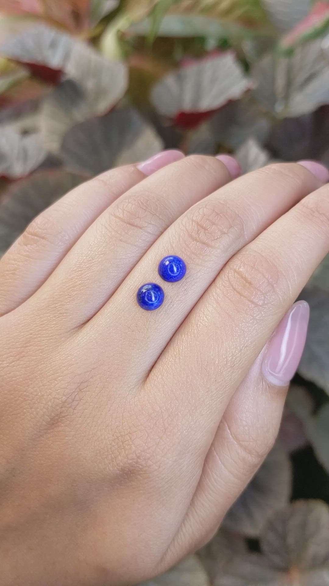 1.88&nbsp;Ct.Tw.Total Carat Weight Cabochon Lapis Pair from Afghanistan Size Video
