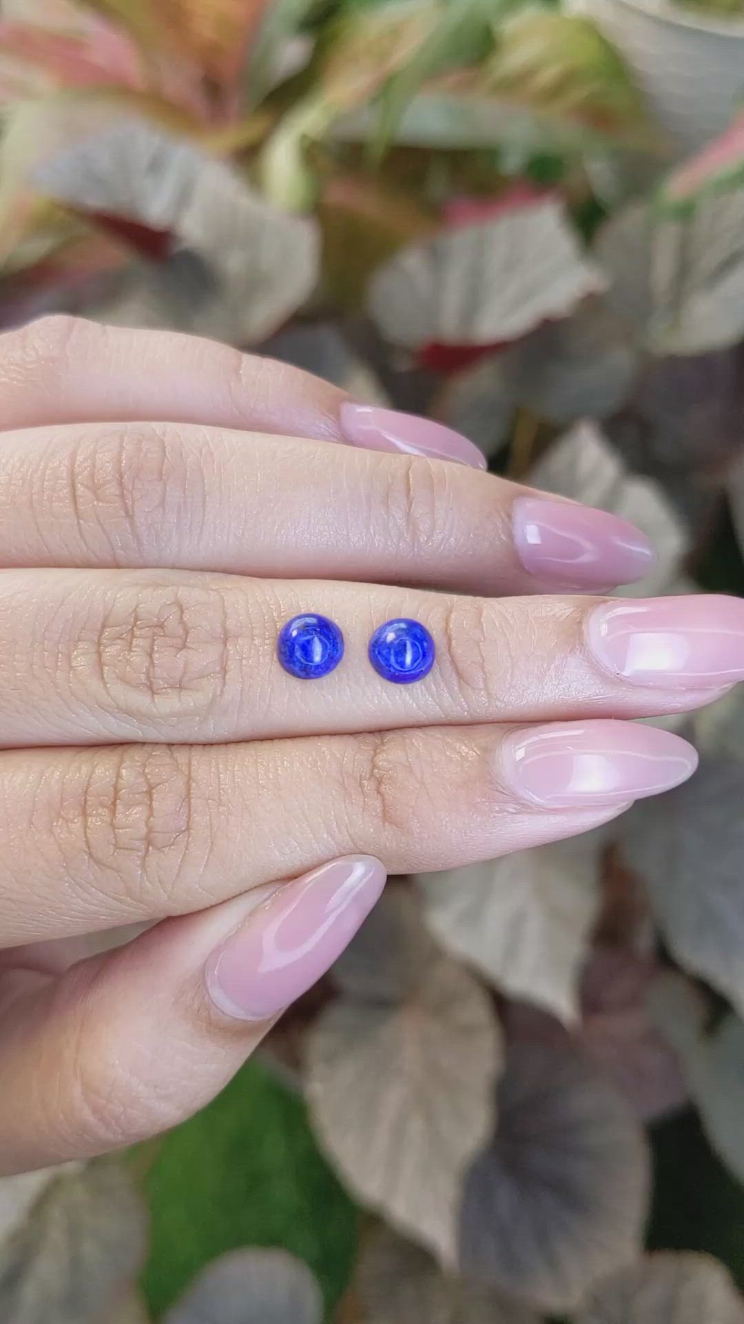 1.85&nbsp;Ct.Tw.Total Carat Weight Cabochon Lapis Pair from Afghanistan Size Video