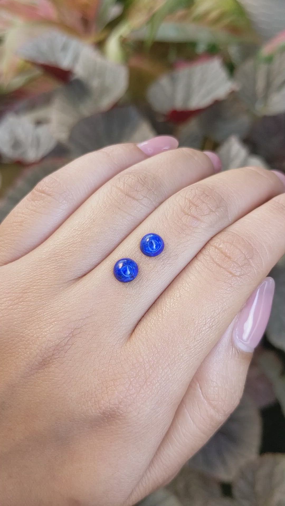 1.85&nbsp;Ct.Tw.Total Carat Weight Cabochon Lapis Pair from Afghanistan Size Video