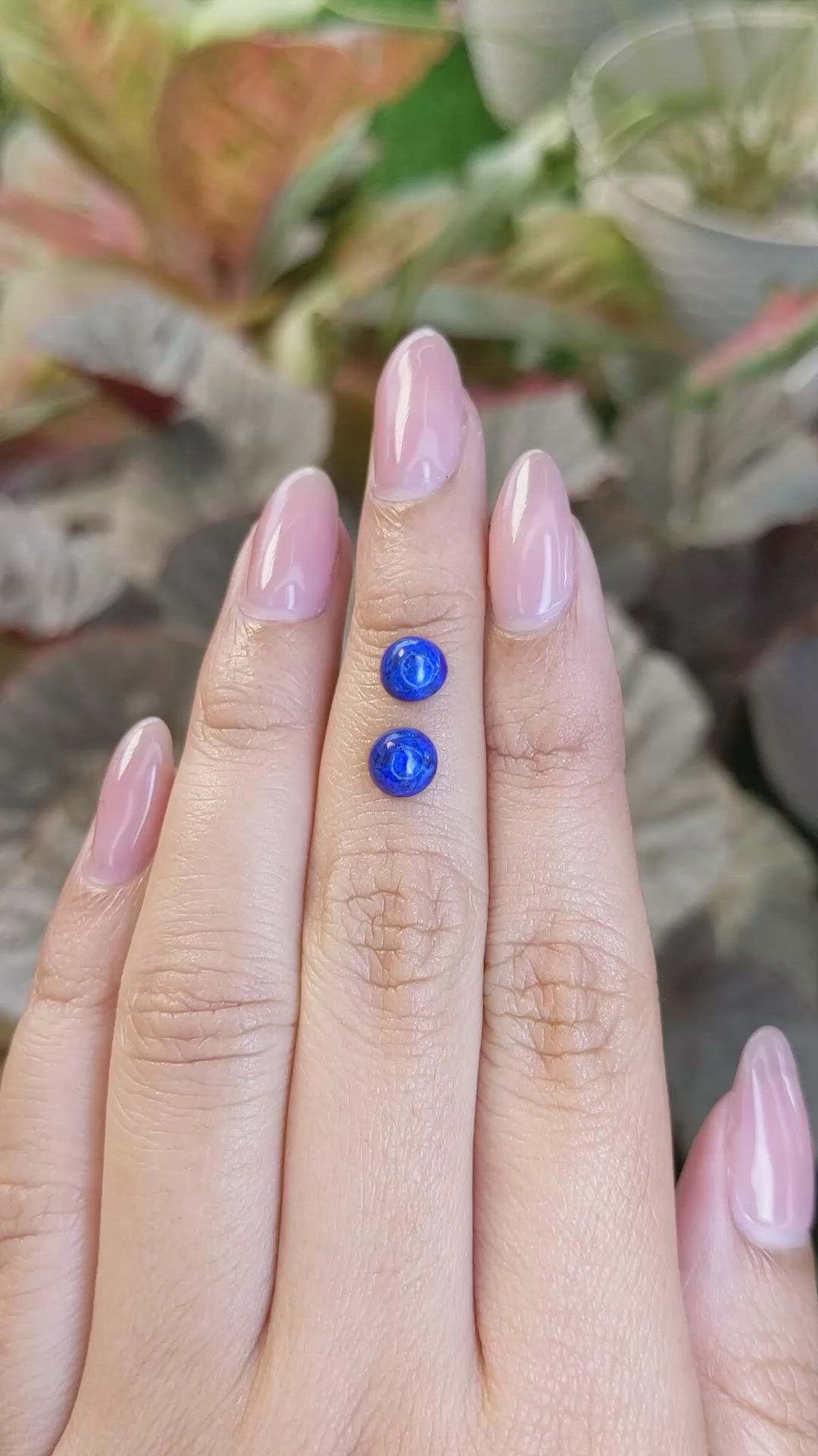 1.85&nbsp;Ct.Tw.Total Carat Weight Cabochon Lapis Pair from Afghanistan Size Video