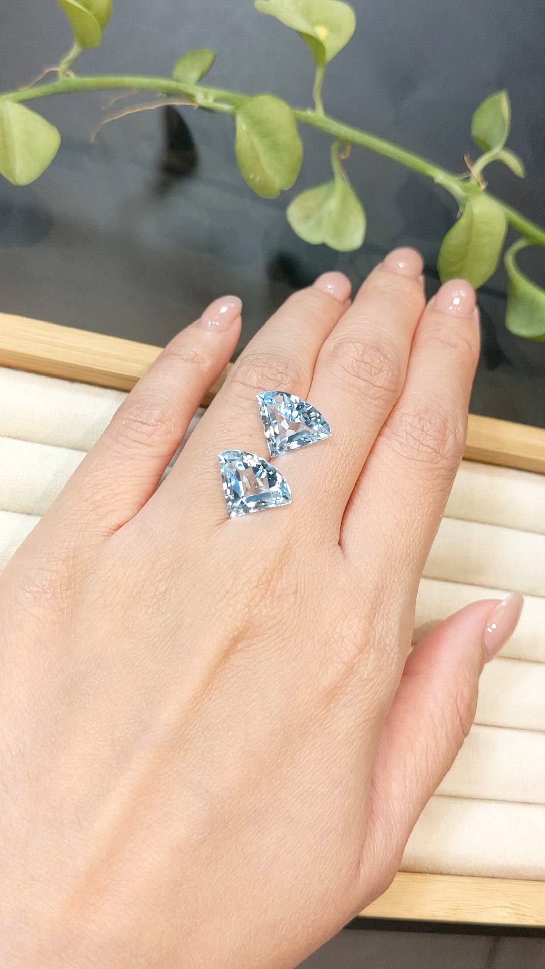12.24 Ct.Tw.Total Carat Weight Sky Blue Topaz Pair from Brazil Size Video