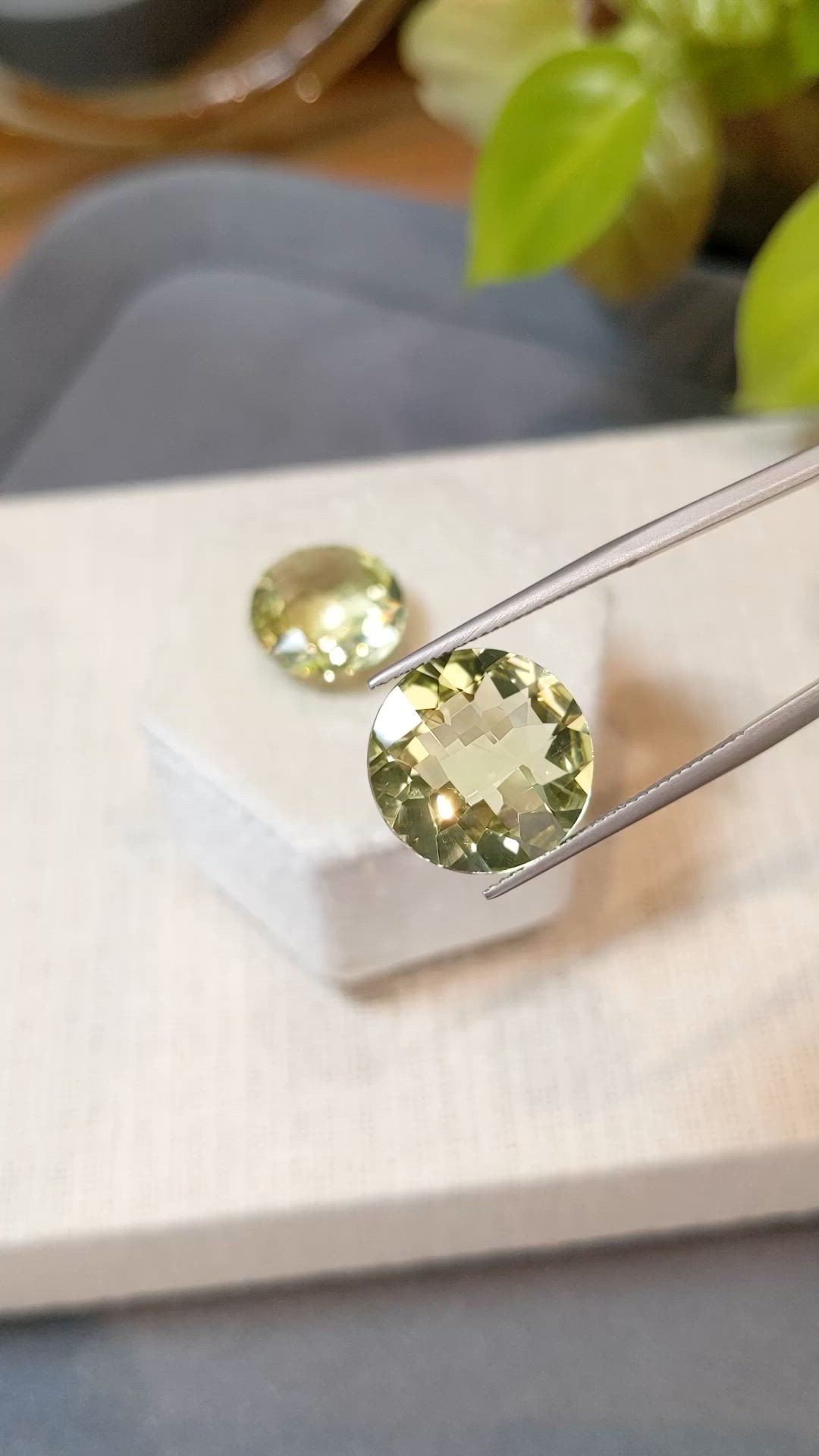 17.83&nbsp;Ct.Tw.Total Carat Weight Yellow Quartz Pair from Brazil Size Video