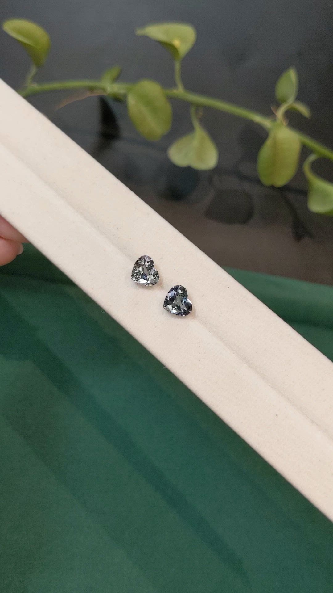 2.66&nbsp;Ct.Tw.Total Carat Weight Bi Color (Peacock) Tanzanite Pair from Tanzania Size Video