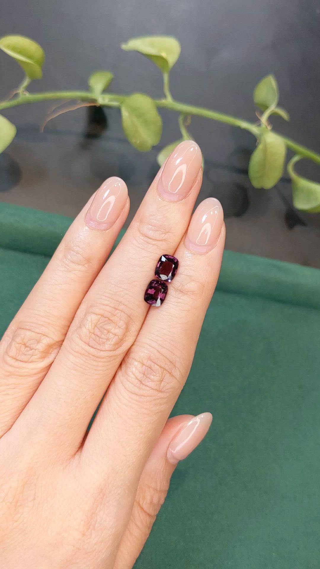 2.32 Ct.Tw.Total Carat Weight Purple Spinel Pair from Burma (Myanmar) Size Video