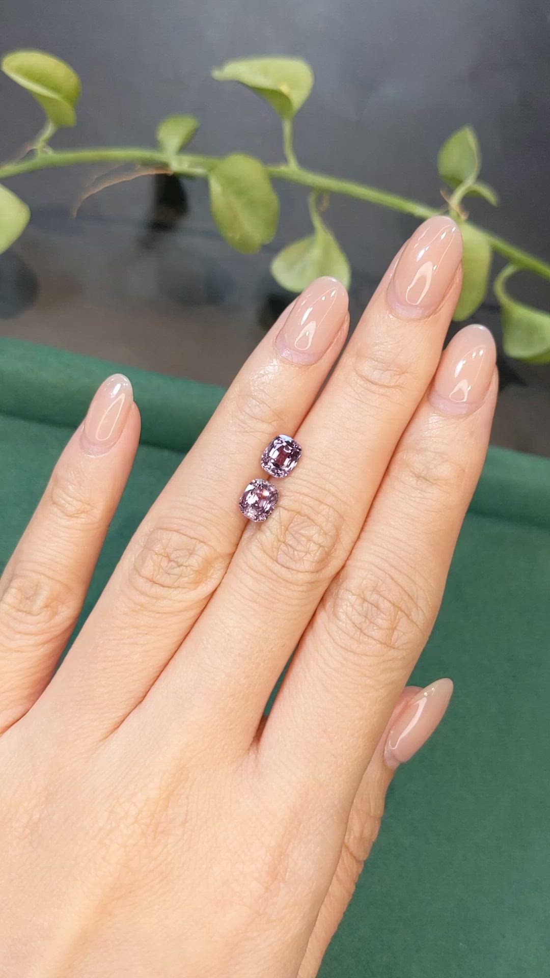 2.75 Ct.Tw.Total Carat Weight Purple Spinel Pair from Burma (Myanmar) Size Video